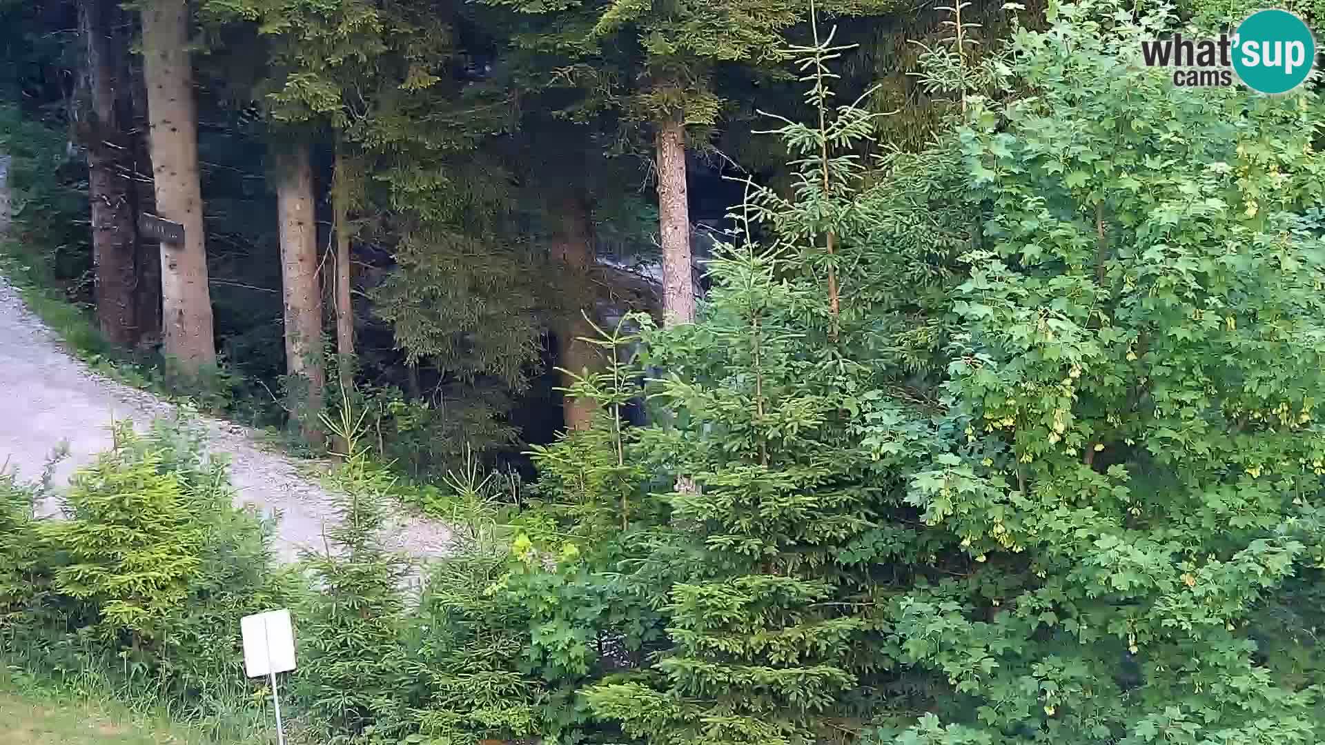 Spletna kamera Rogla apartmaji Dandi – Jurgovo