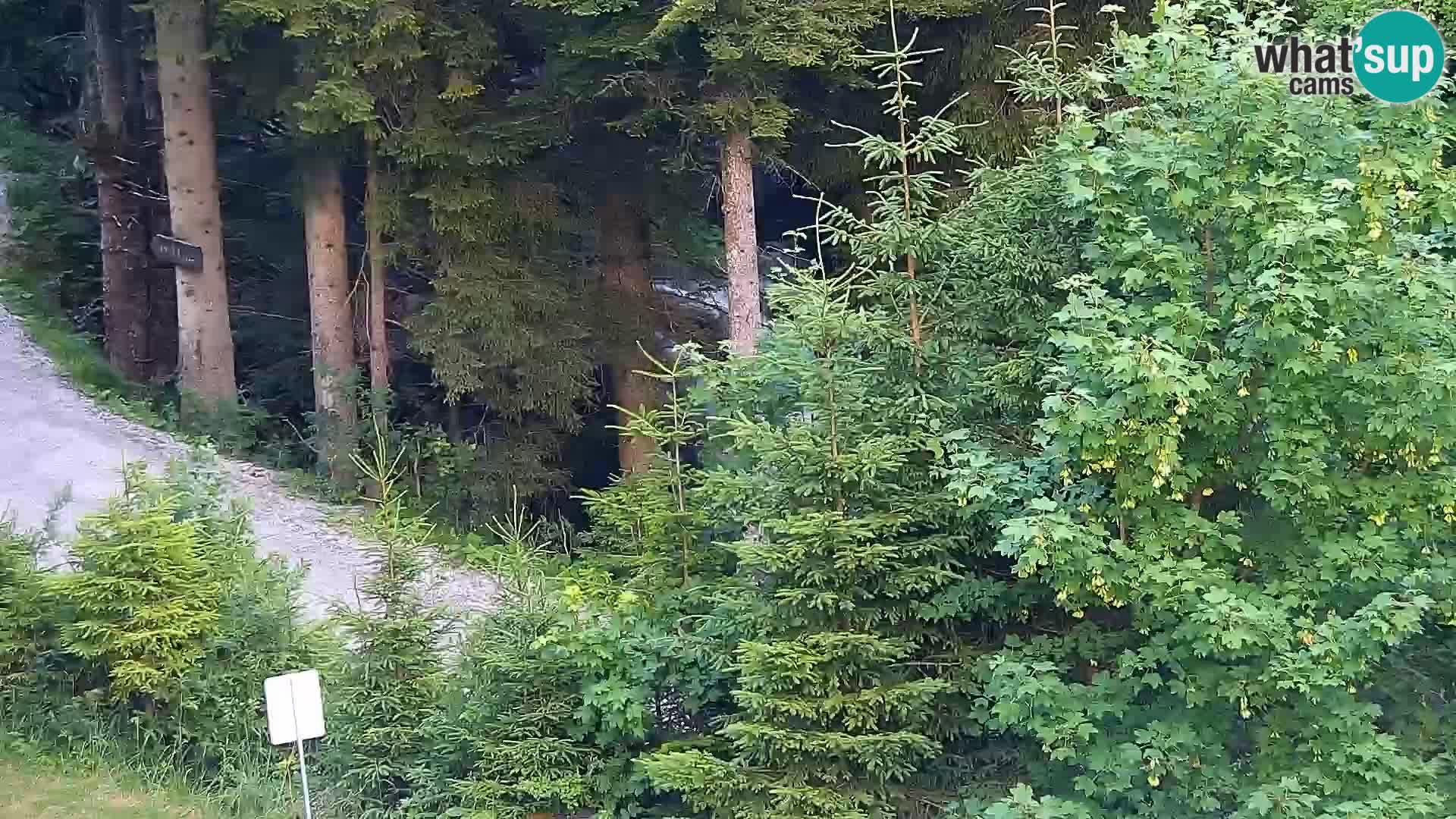 Live webcam Rogla appartamenti Dandi – Jurgovo