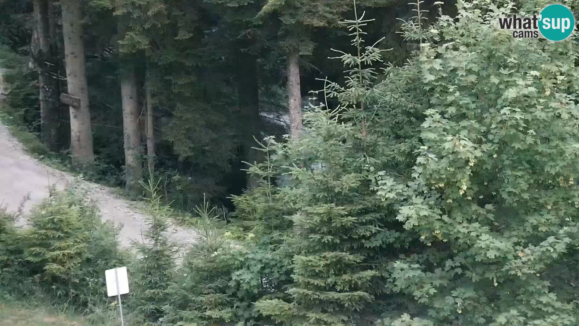 Camera en vivo Rogla appartamentos Dandi – Jurgovo