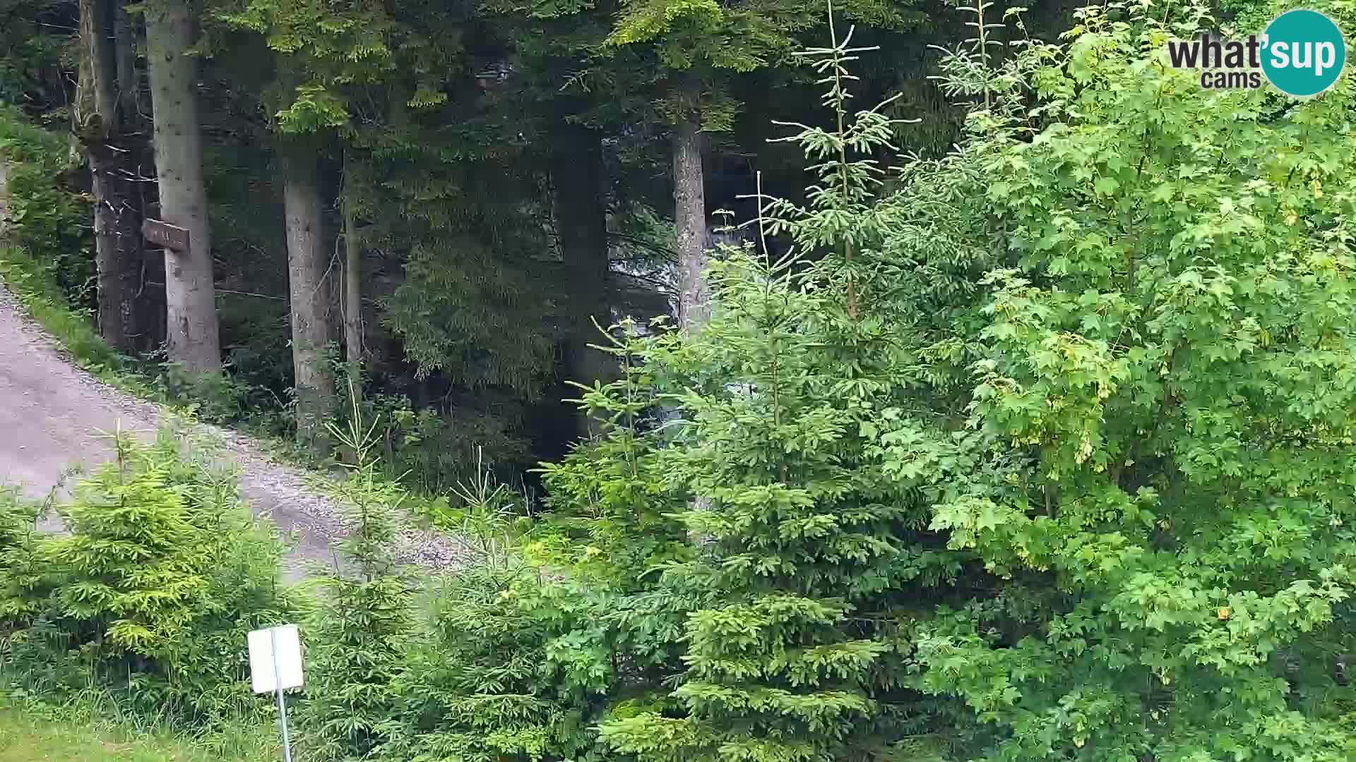 Spletna kamera Rogla apartmaji Dandi – Jurgovo