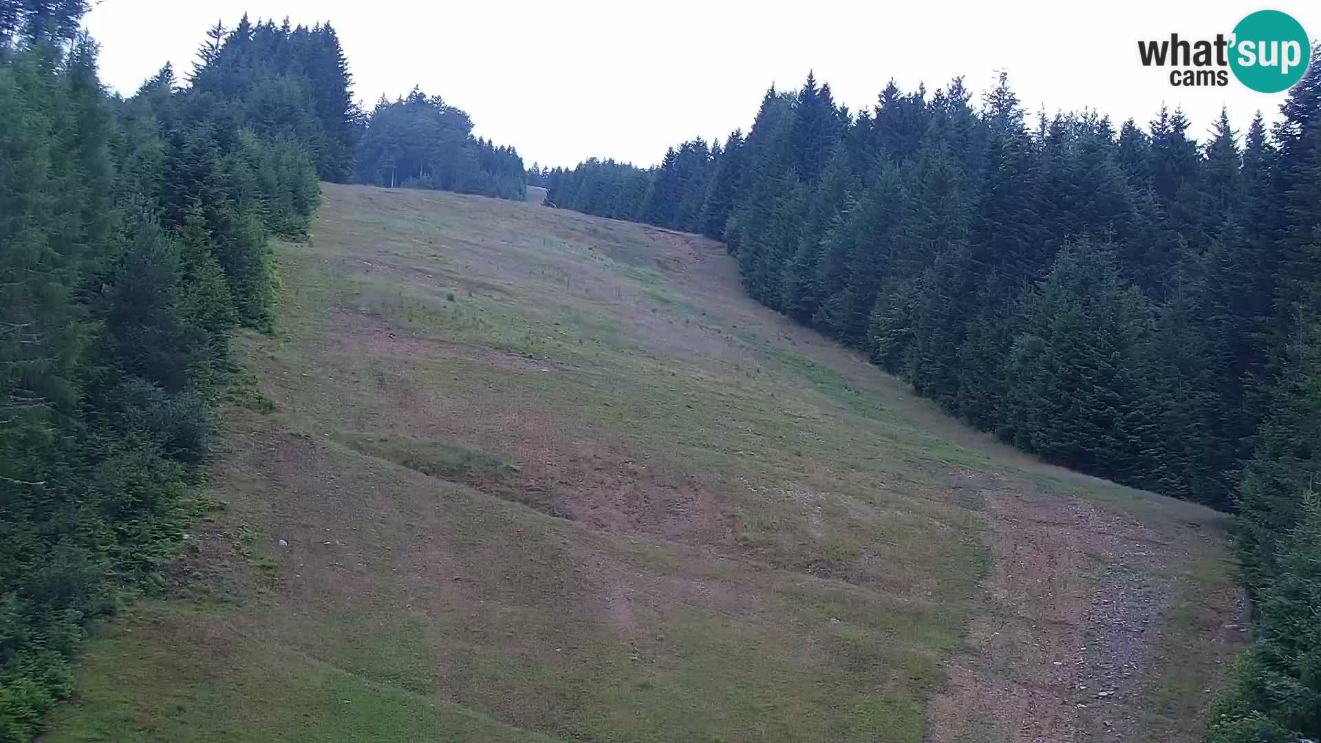 Webcam Rogla Wohnungen Dandi – Jurgovo