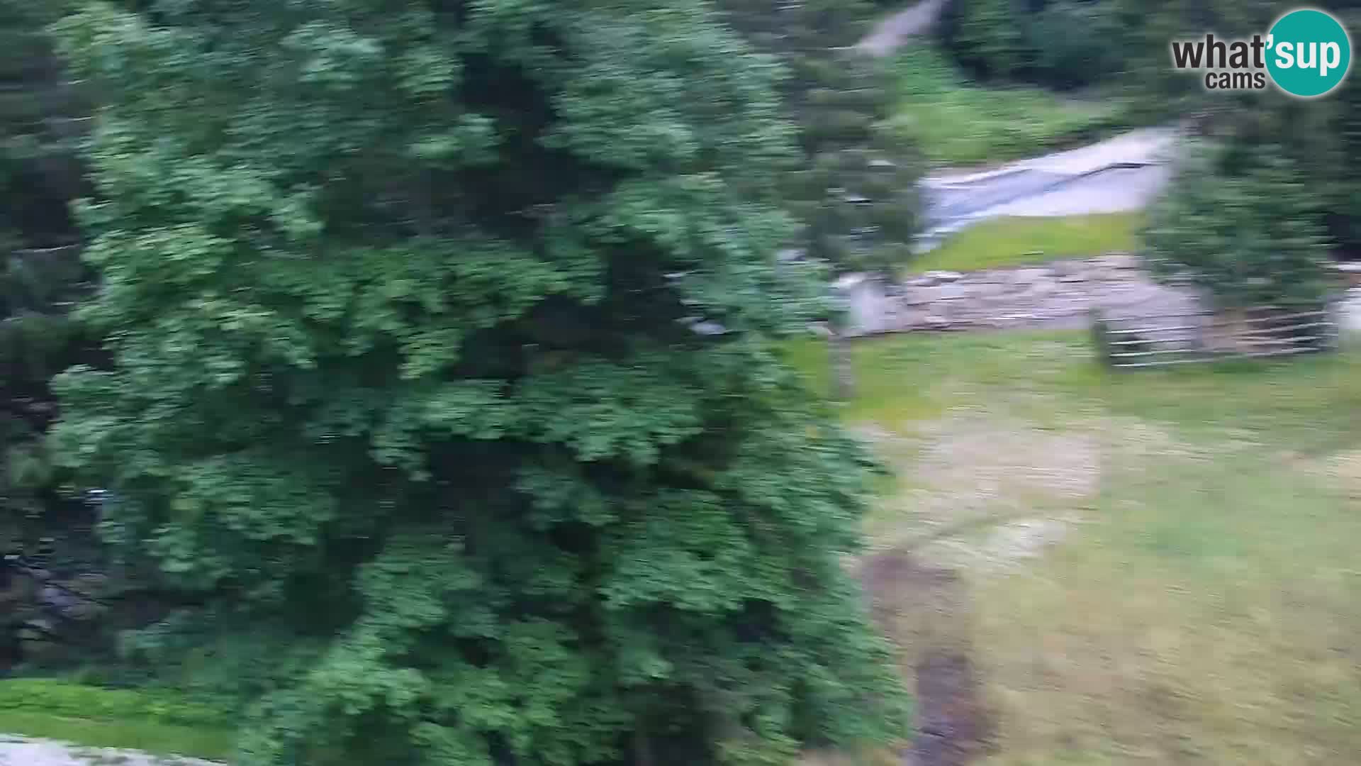 Camera en vivo Rogla appartamentos Dandi – Jurgovo