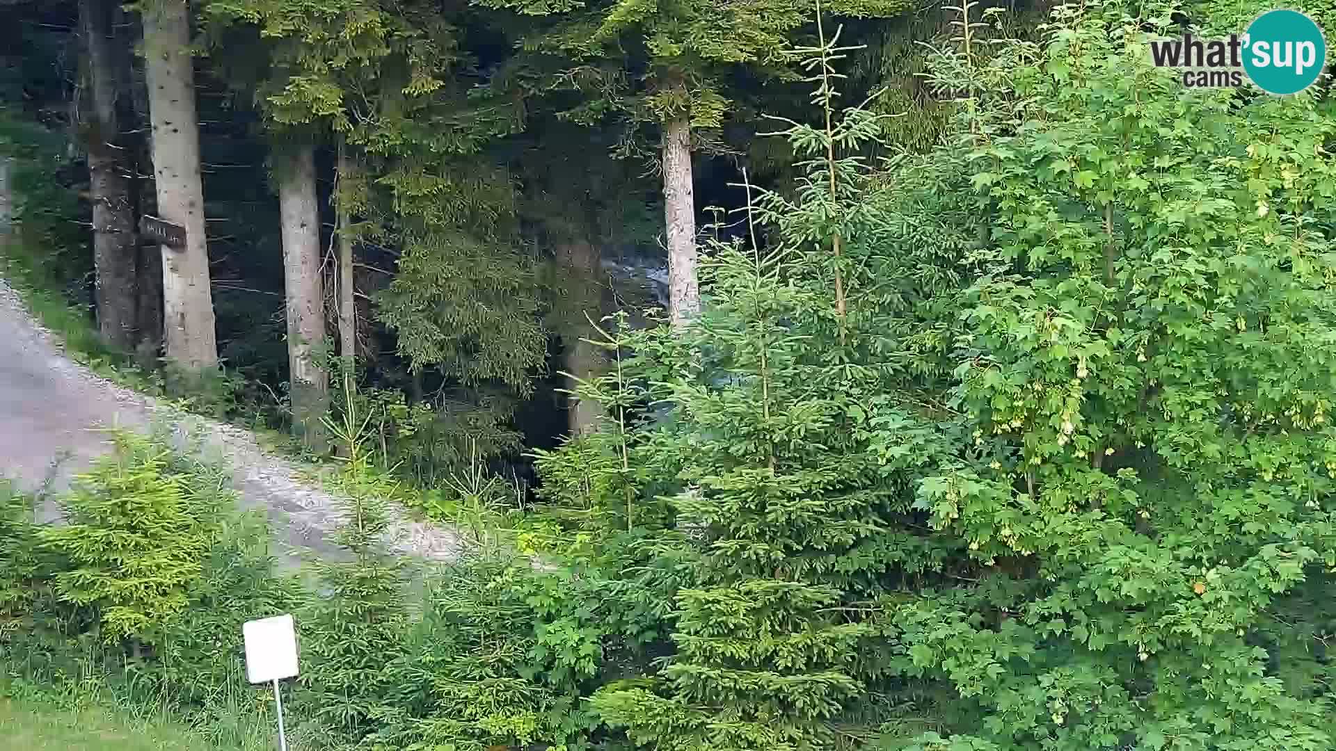 Web kamera Rogla apartmani Dandi – Jurgovo