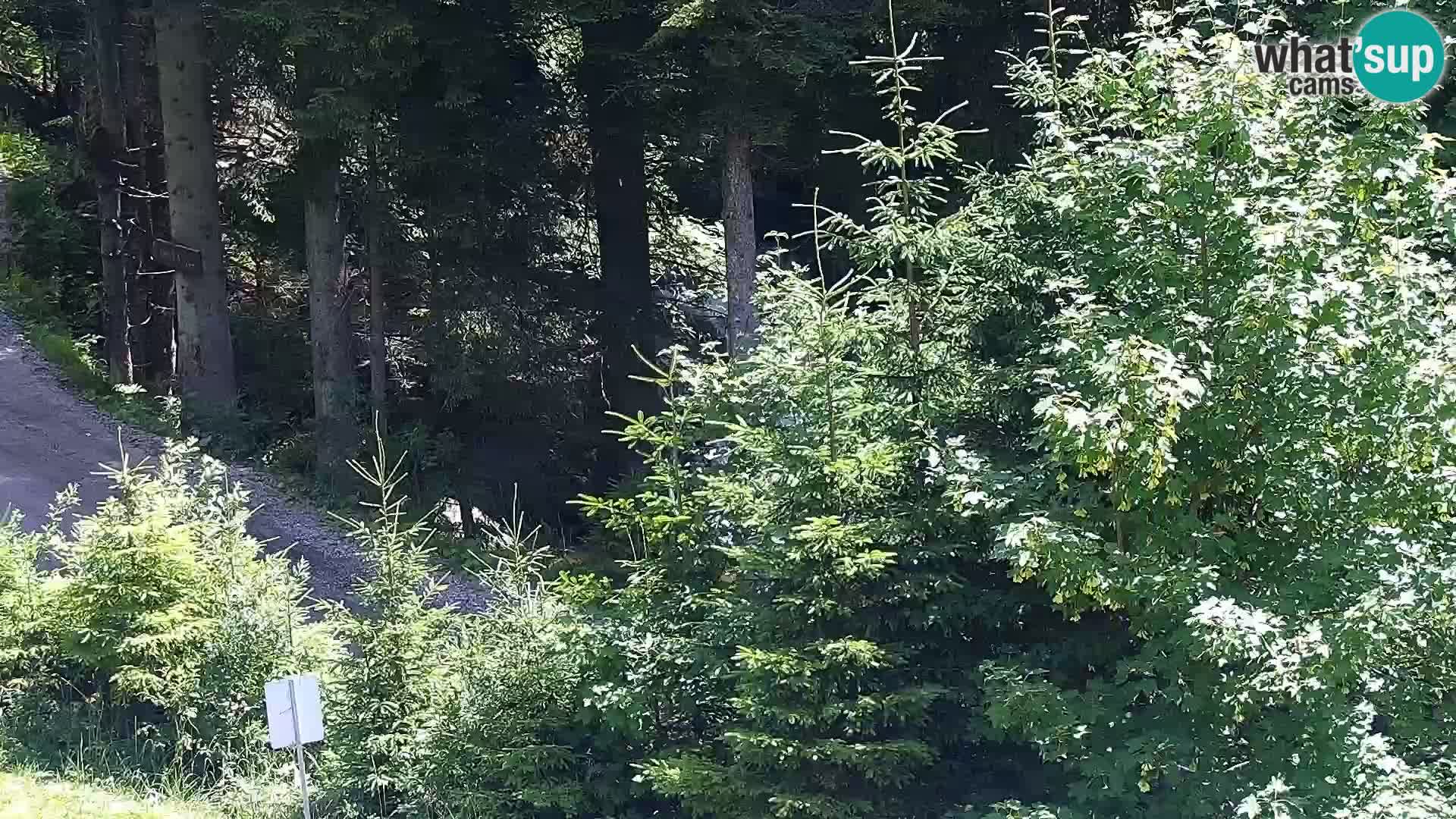 Webcam Rogla Wohnungen Dandi – Jurgovo
