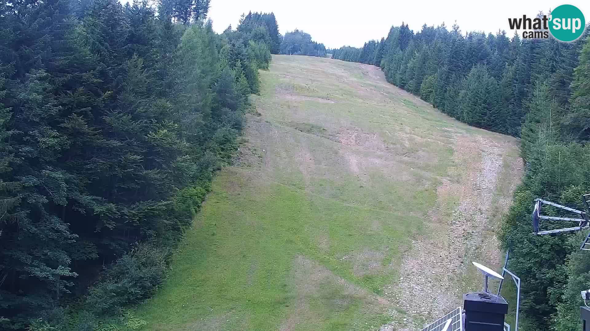 Live Rogla appartements Dandi – Jurgovo