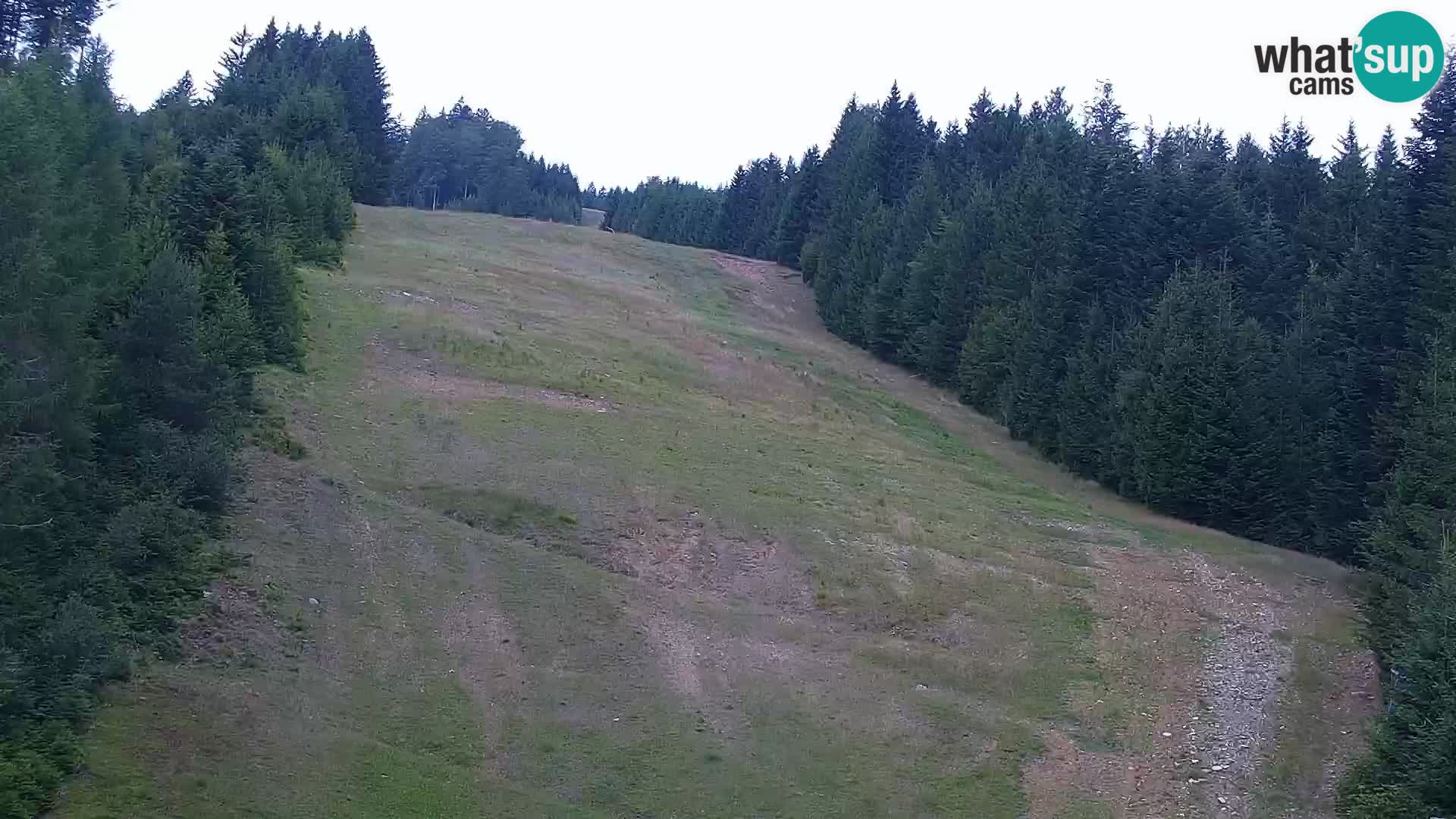 Livecam Rogla apartments Dandi – Jurgovo