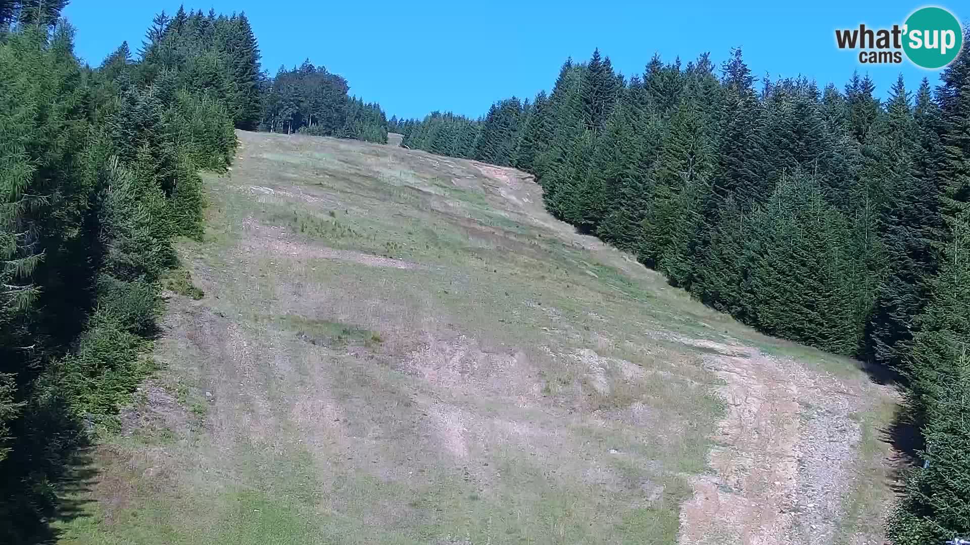 Livecam Rogla apartments Dandi – Jurgovo