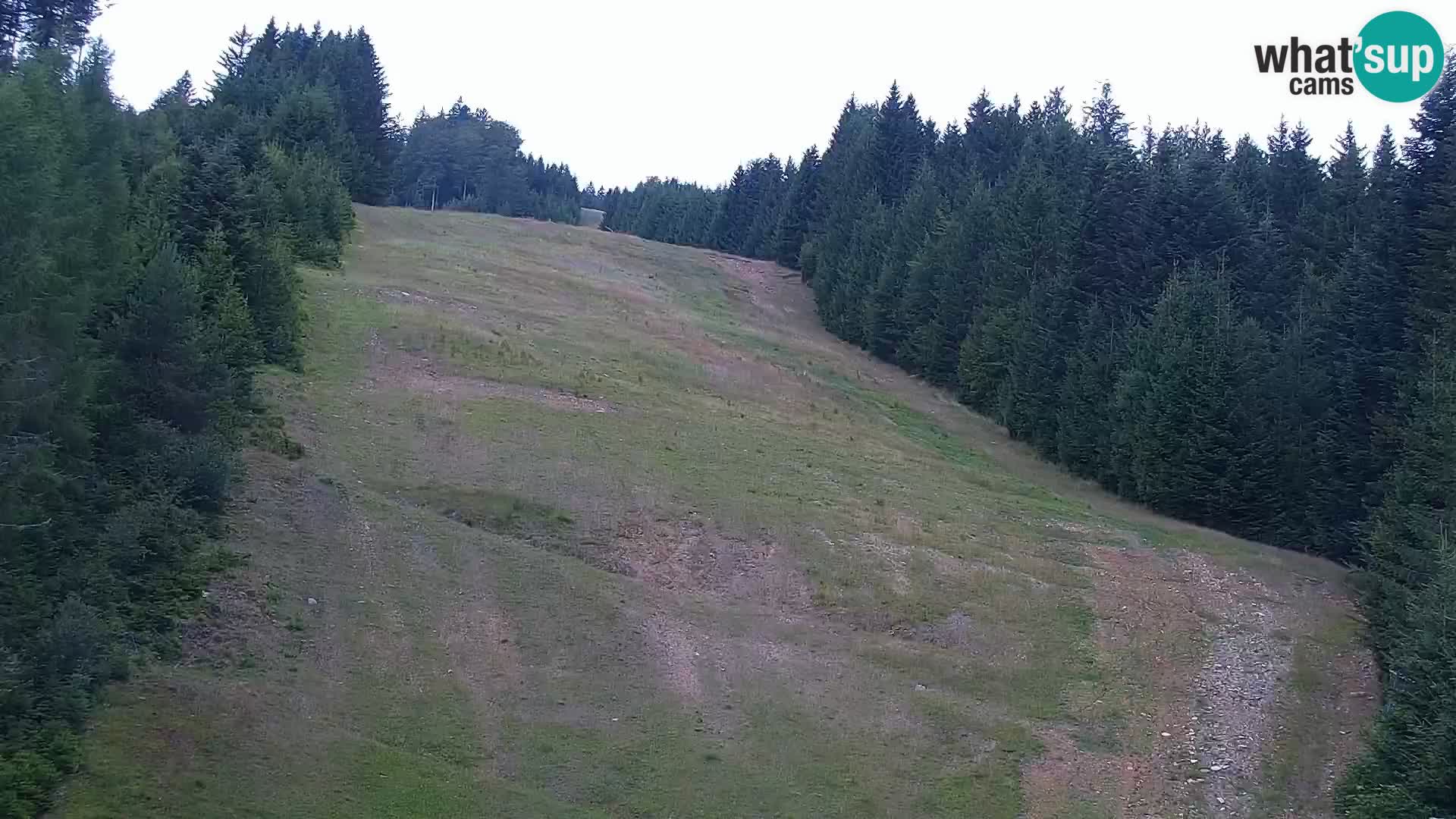 Live Rogla appartements Dandi – Jurgovo