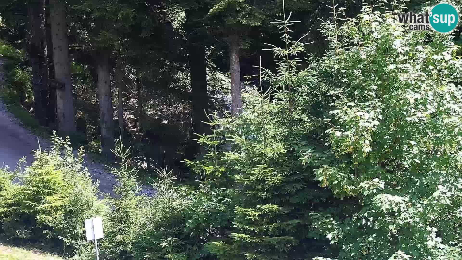 Spletna kamera Rogla apartmaji Dandi – Jurgovo