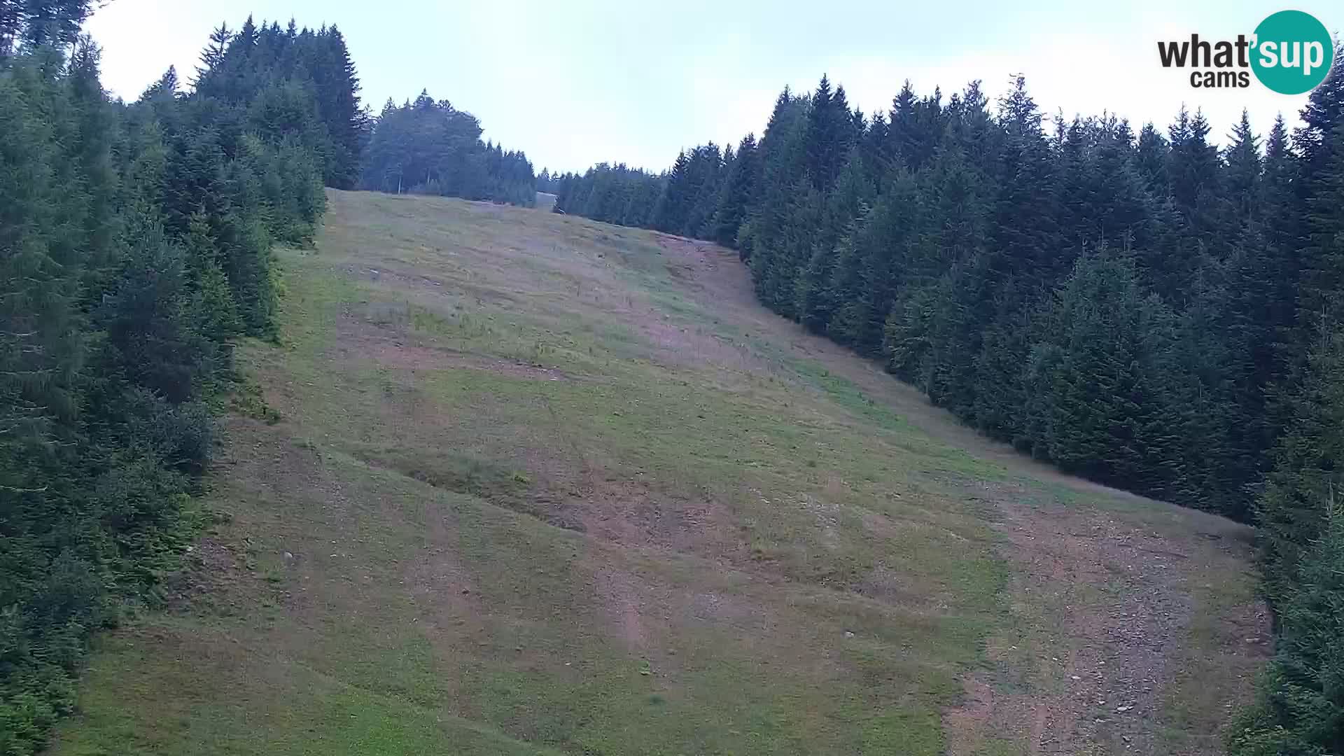 Livecam Rogla apartments Dandi – Jurgovo