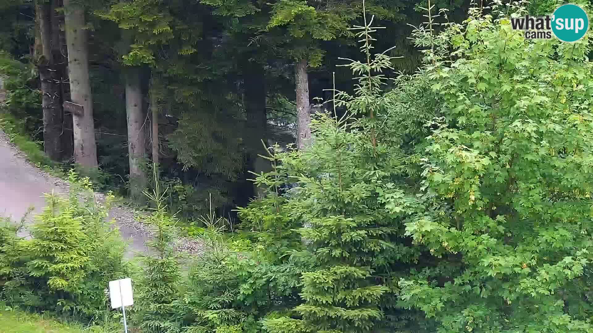 Live webcam Rogla appartamenti Dandi – Jurgovo