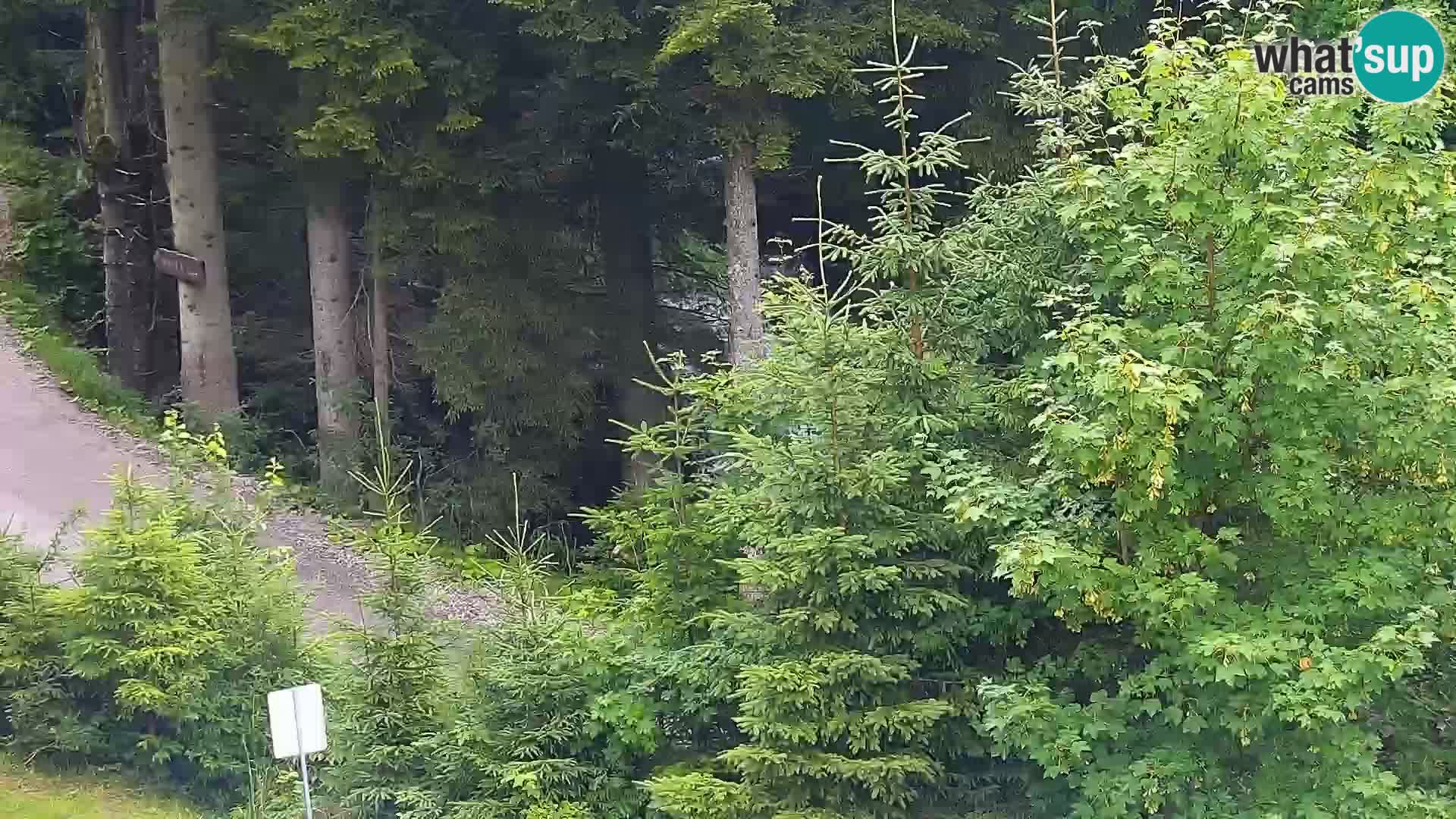 Webcam Rogla Wohnungen Dandi – Jurgovo