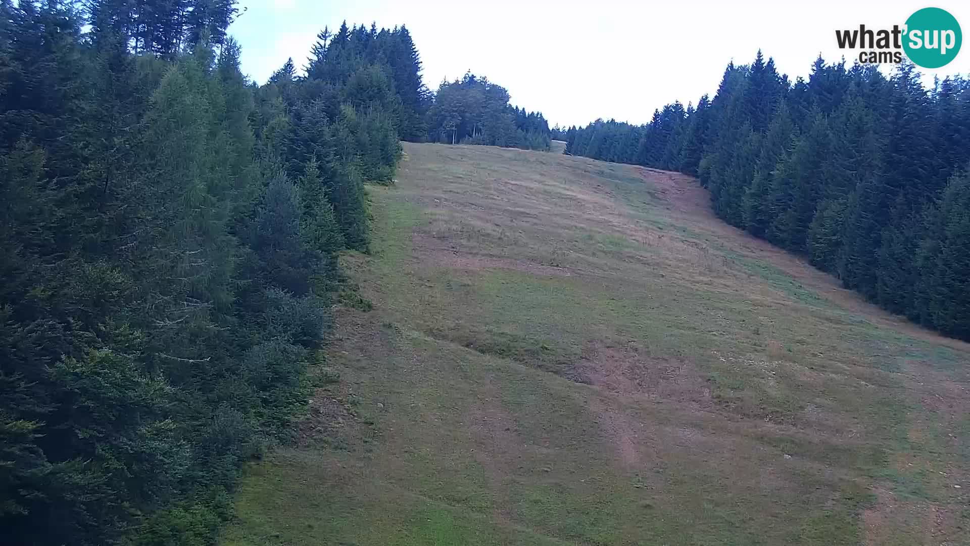 Spletna kamera Rogla apartmaji Dandi – Jurgovo
