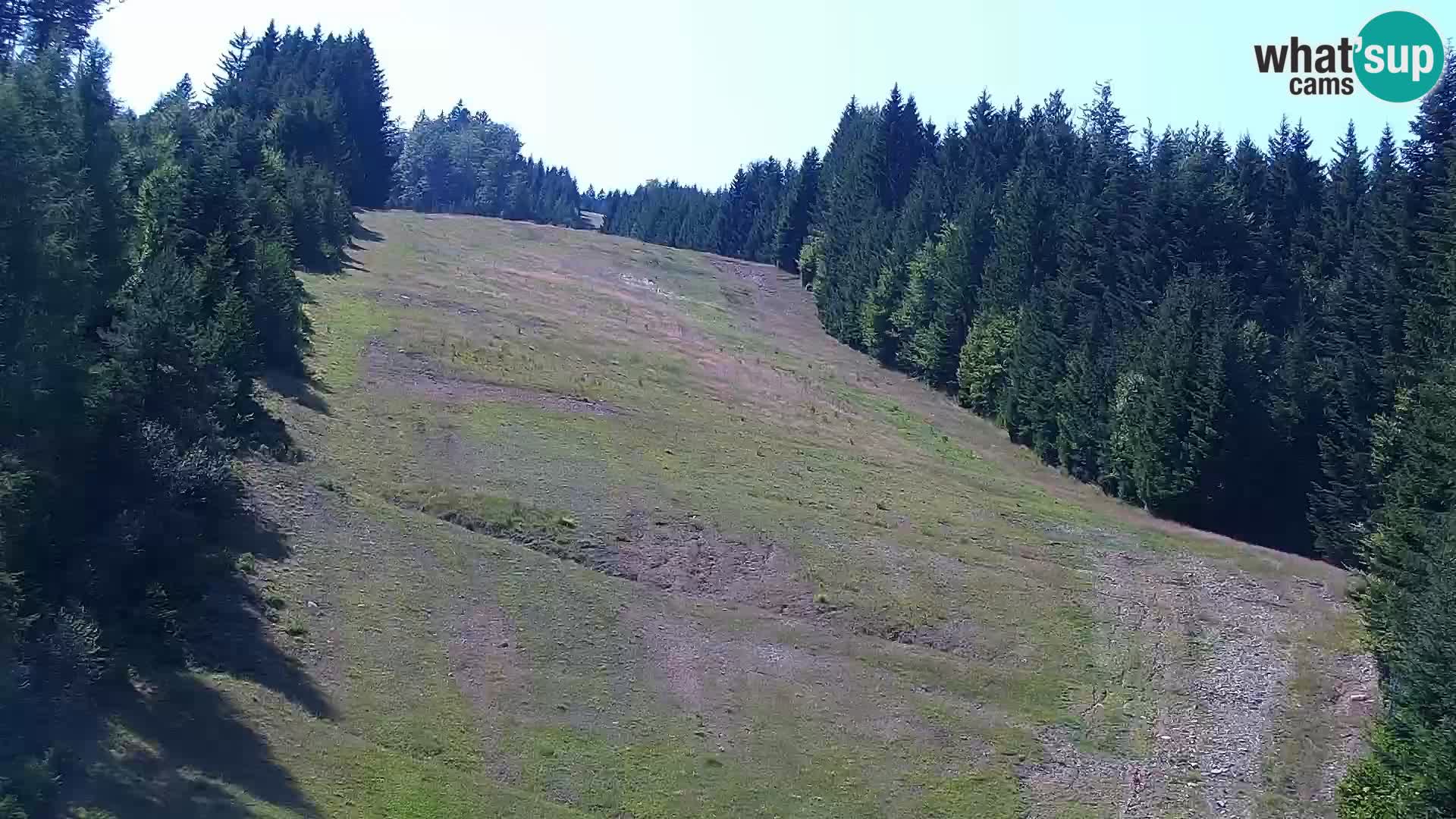 Livecam Rogla apartments Dandi – Jurgovo