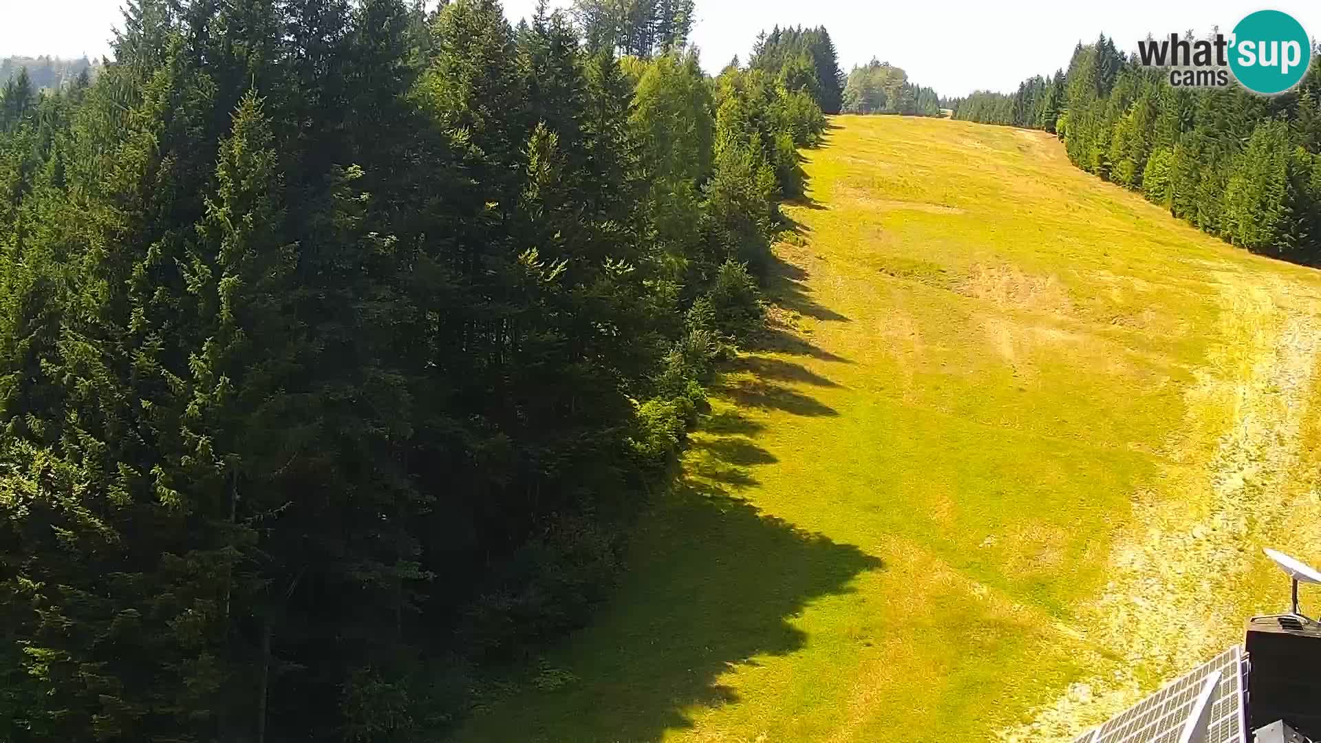 Spletna kamera Rogla apartmaji Dandi – Jurgovo
