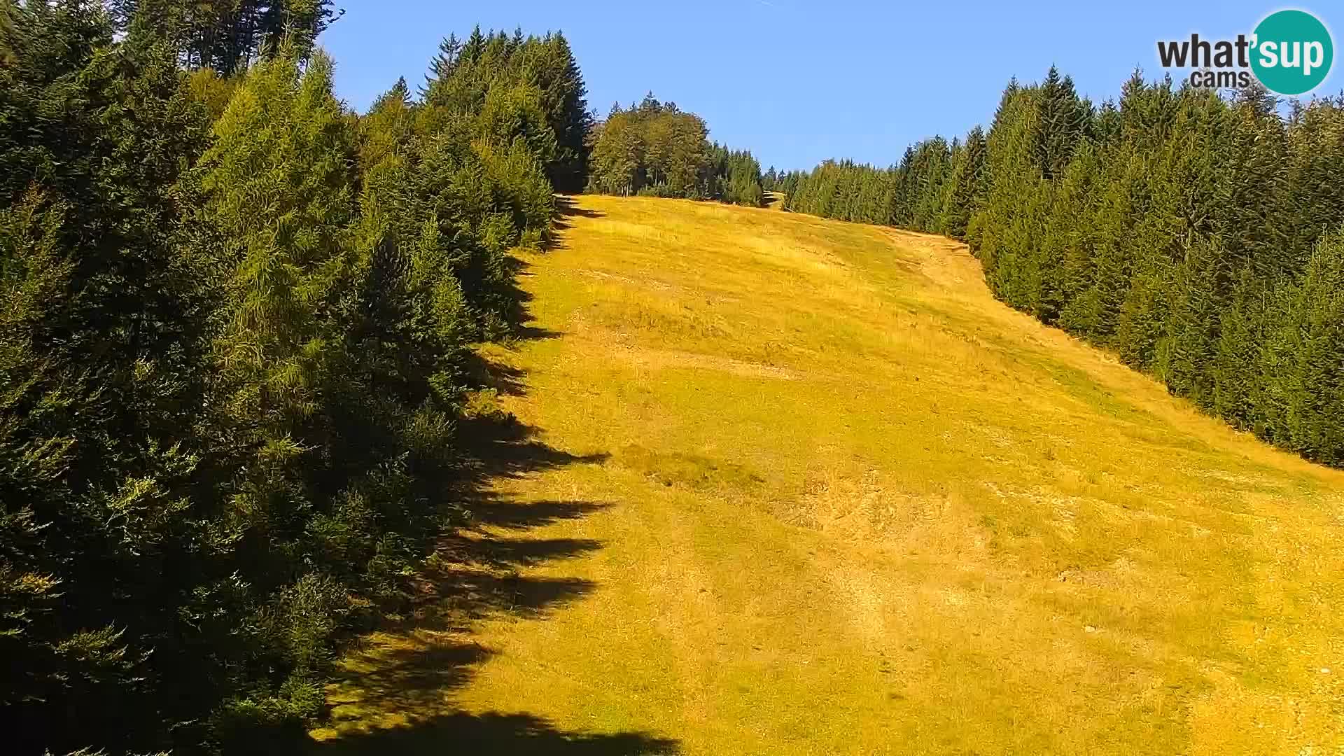 Livecam Rogla apartments Dandi – Jurgovo
