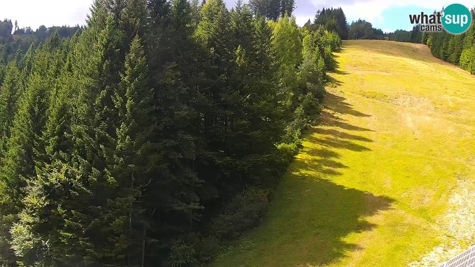 Spletna kamera Rogla apartmaji Dandi – Jurgovo