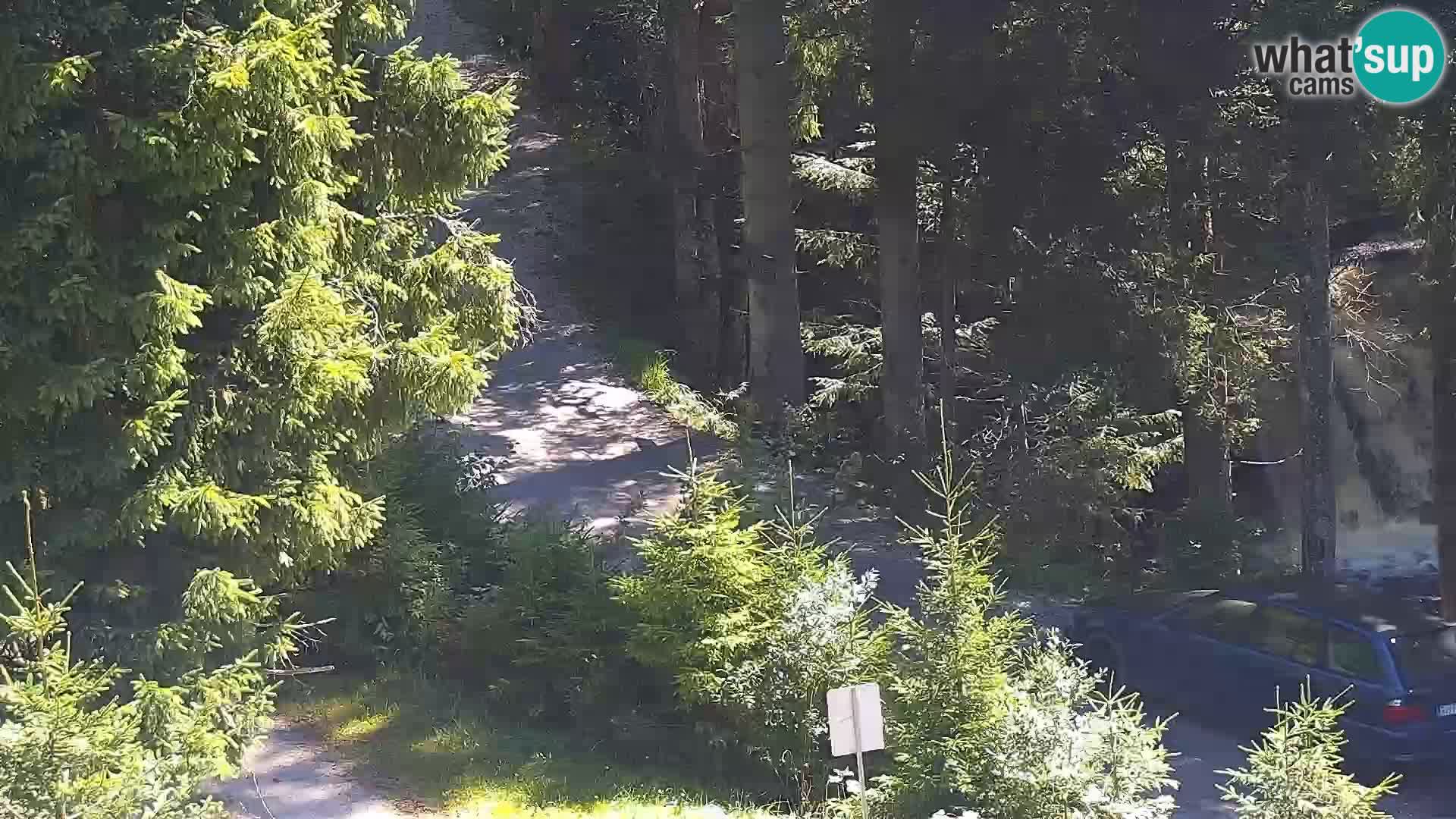 Camera en vivo Rogla appartamentos Dandi – Jurgovo