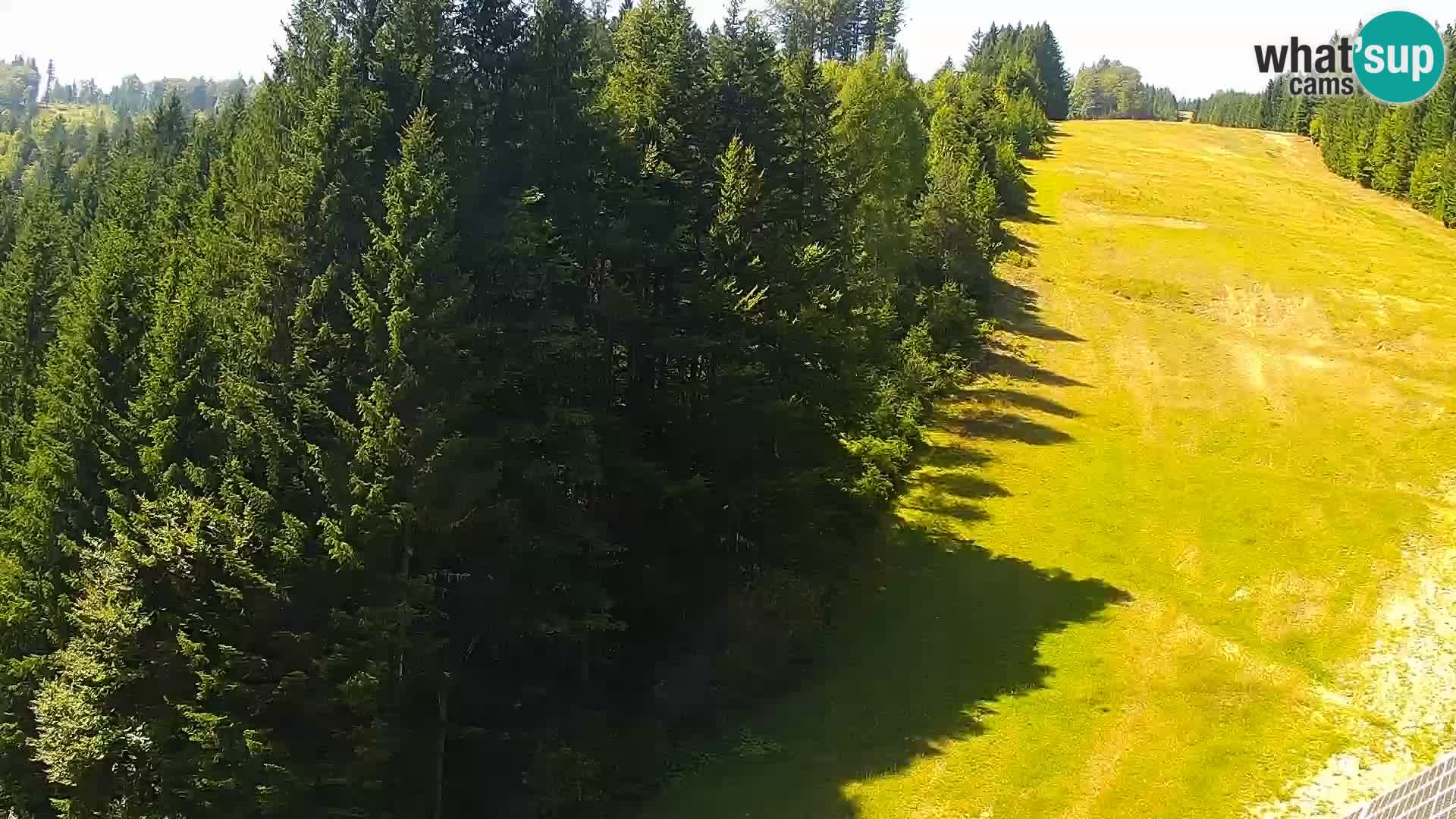 Web kamera Rogla apartmani Dandi – Jurgovo