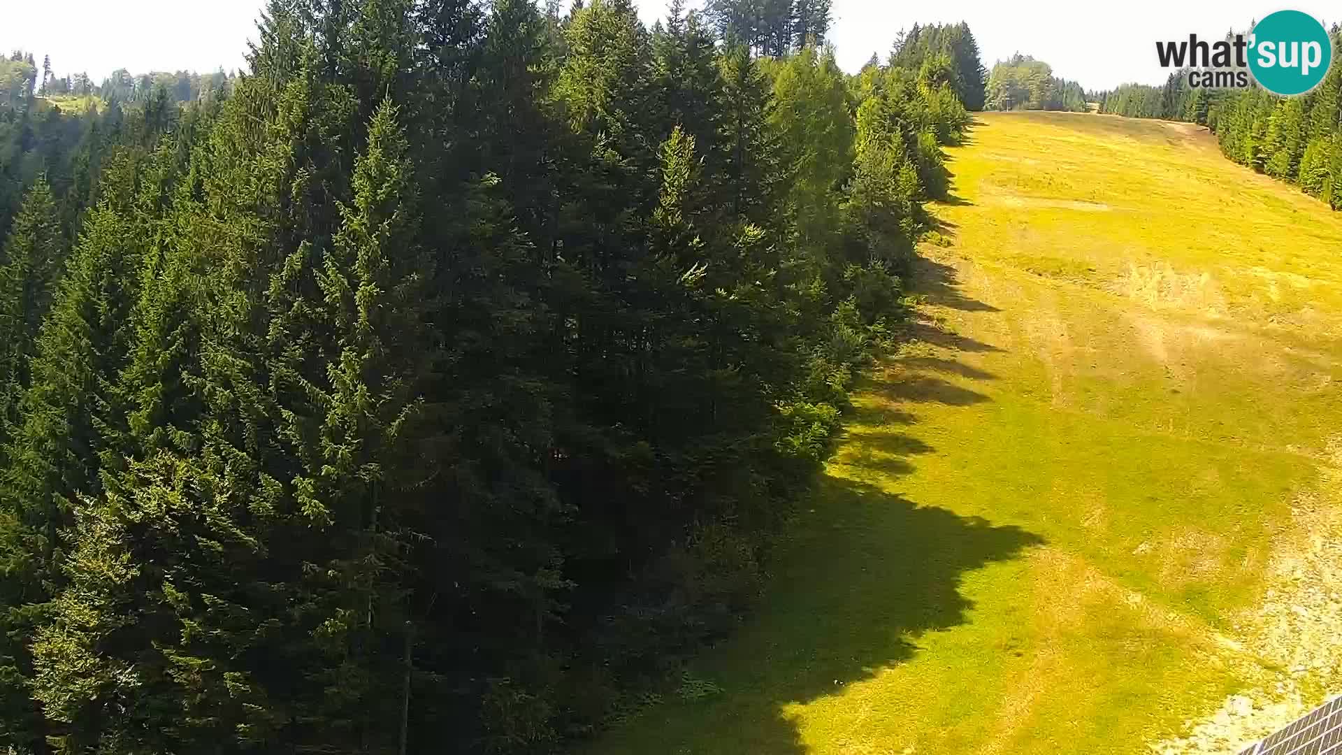 Web kamera Rogla apartmani Dandi – Jurgovo