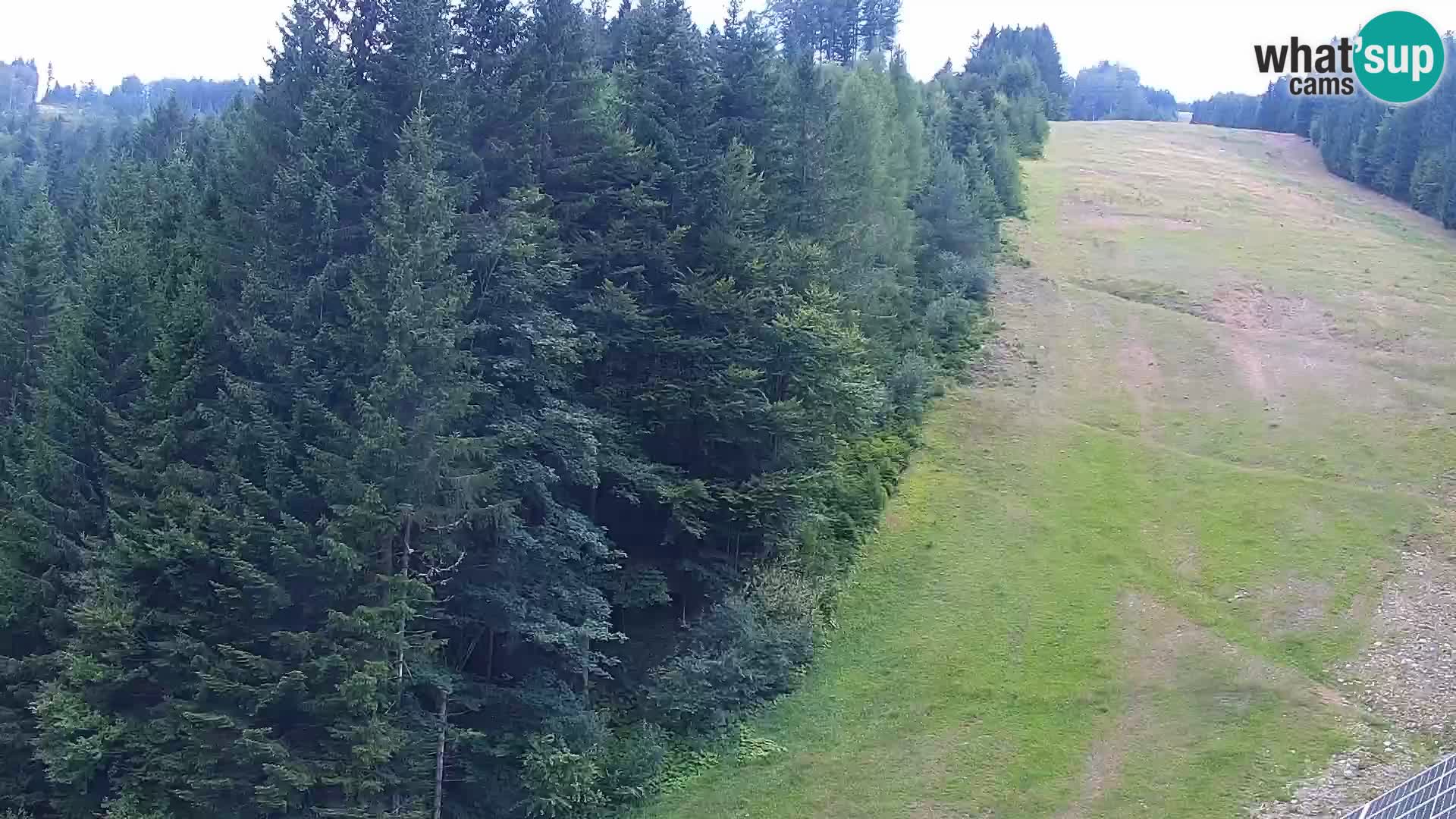 Livecam Rogla apartments Dandi – Jurgovo