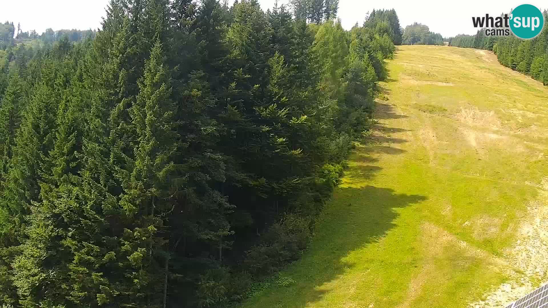 Live Rogla appartements Dandi – Jurgovo