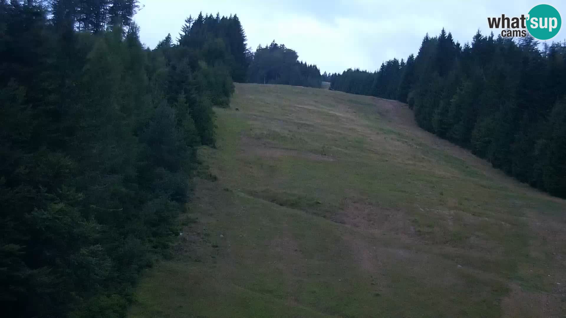 Webcam Rogla Wohnungen Dandi – Jurgovo