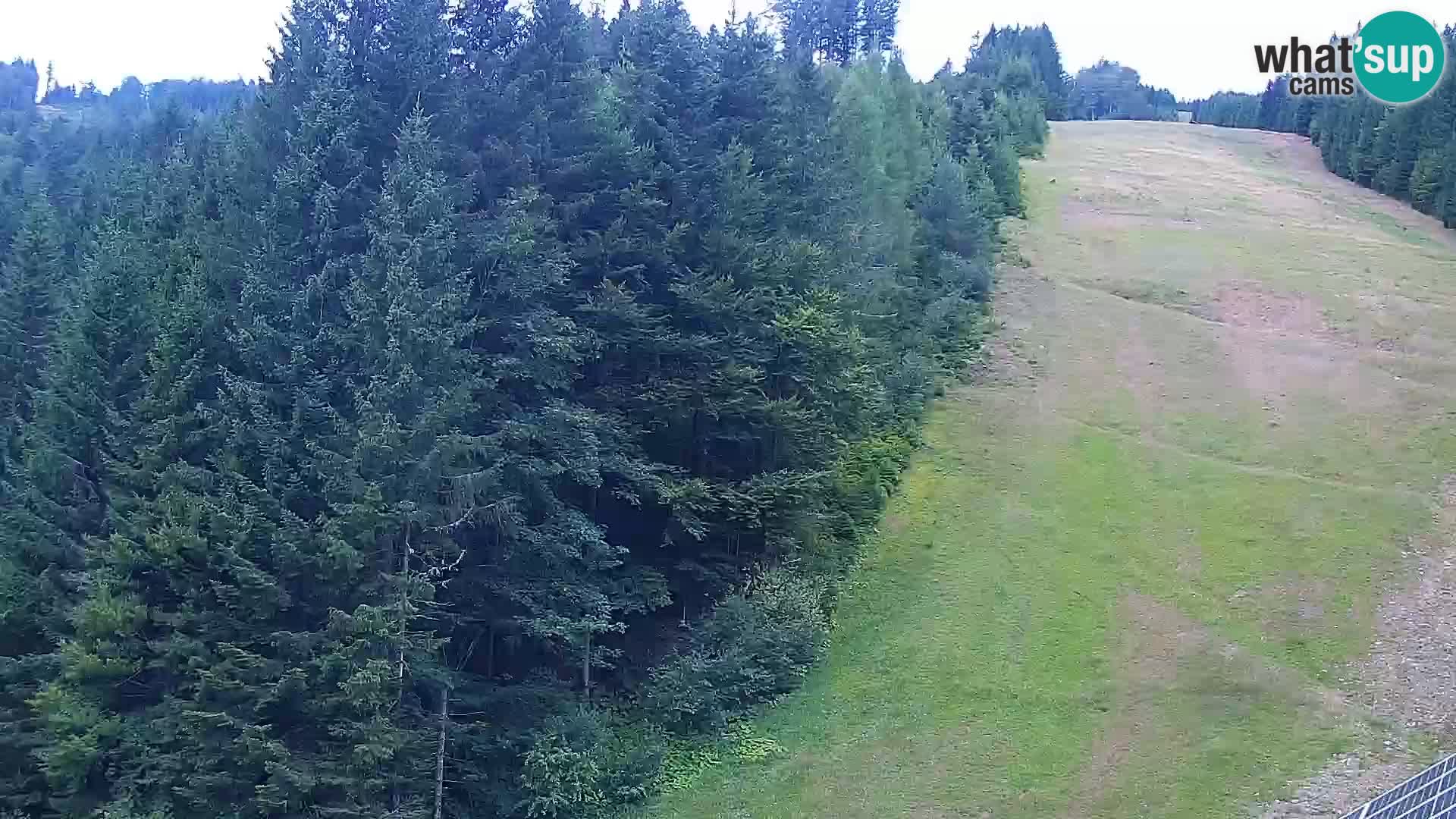 Camera en vivo Rogla appartamentos Dandi – Jurgovo