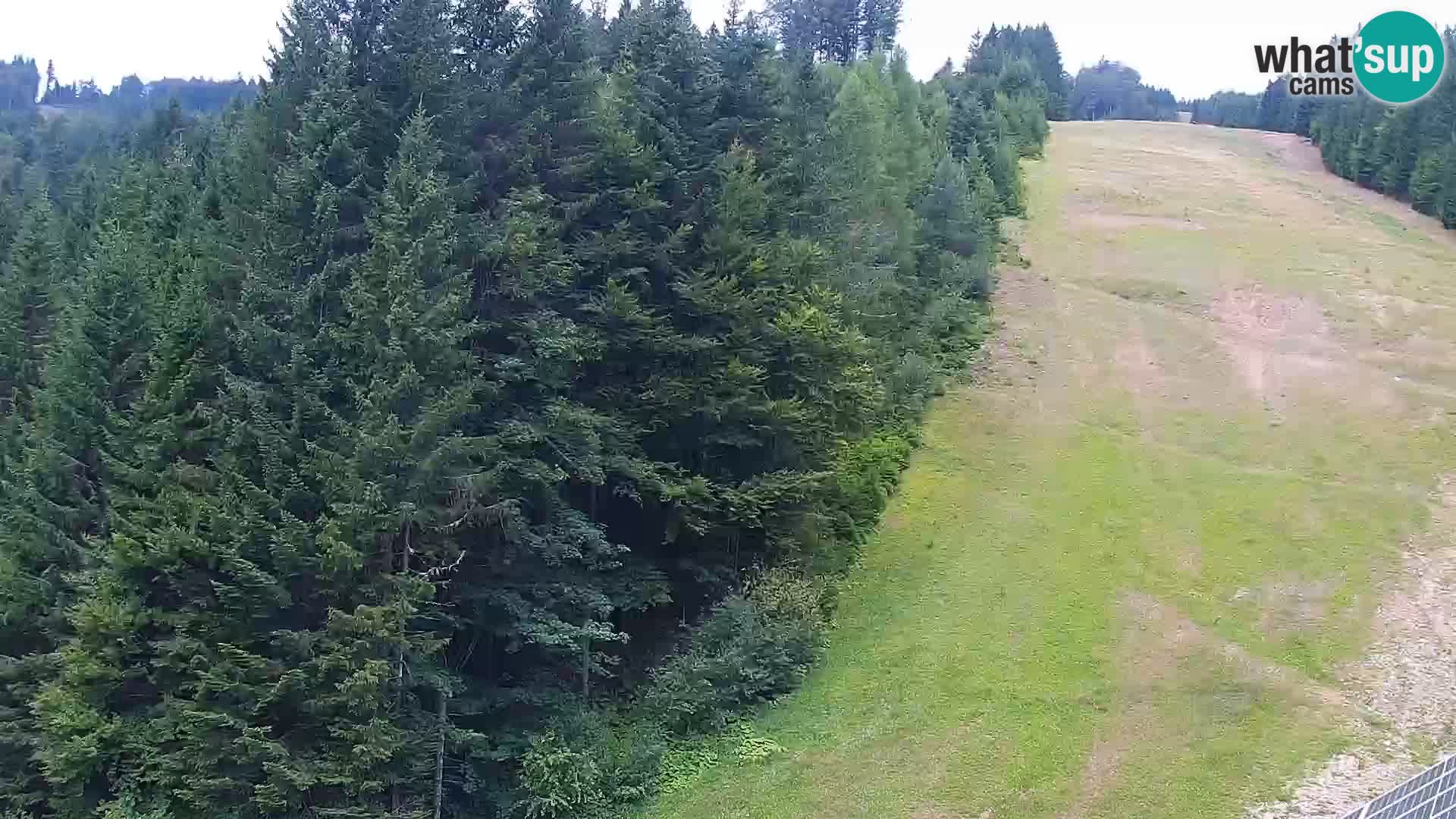 Spletna kamera Rogla apartmaji Dandi – Jurgovo
