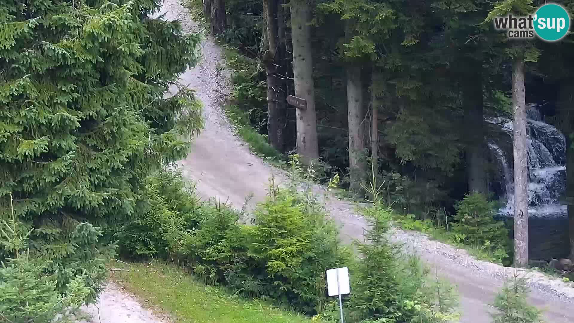 Livecam Rogla apartments Dandi – Jurgovo