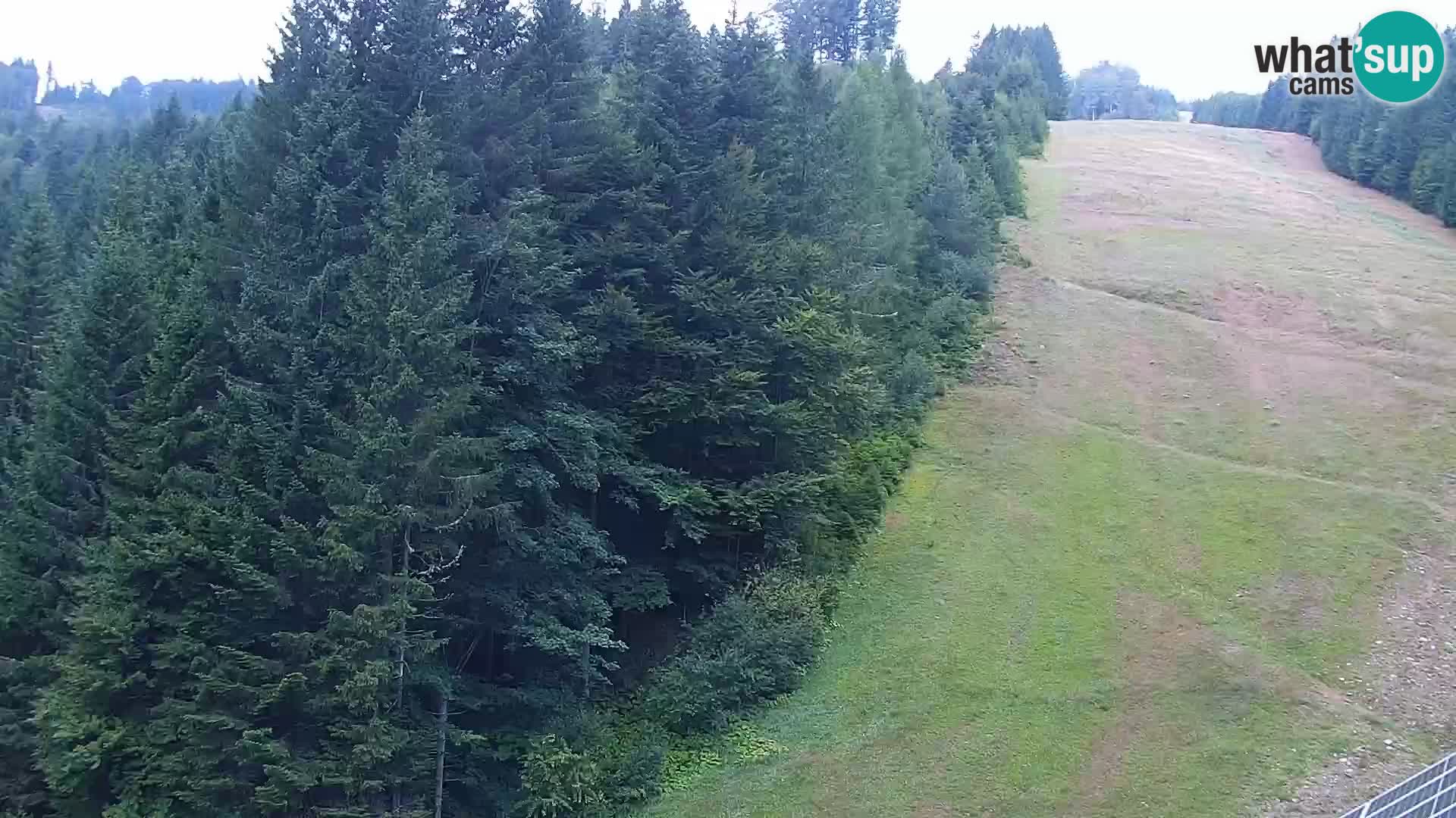 Web kamera Rogla apartmani Dandi – Jurgovo