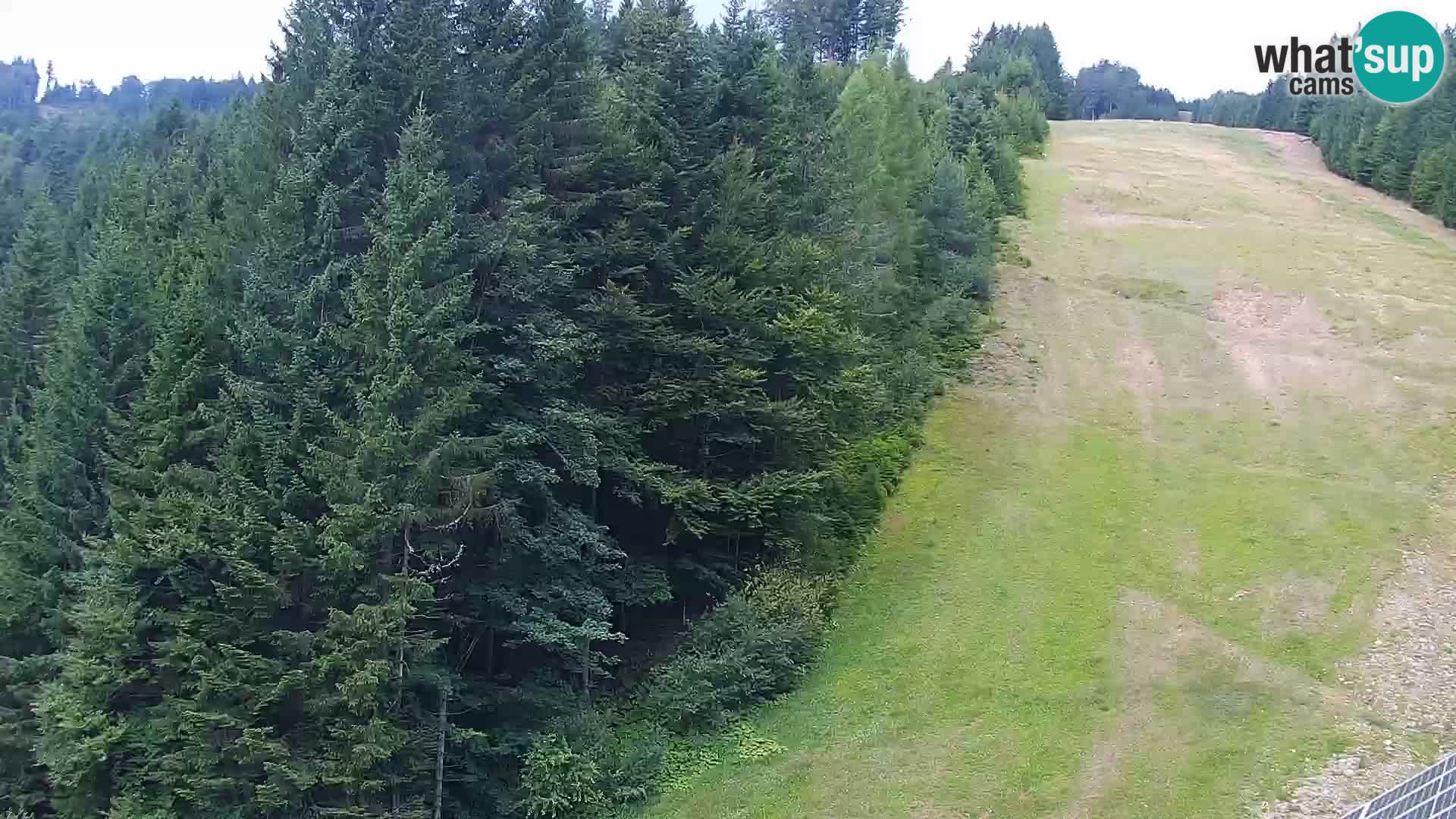 Webcam Rogla Wohnungen Dandi – Jurgovo