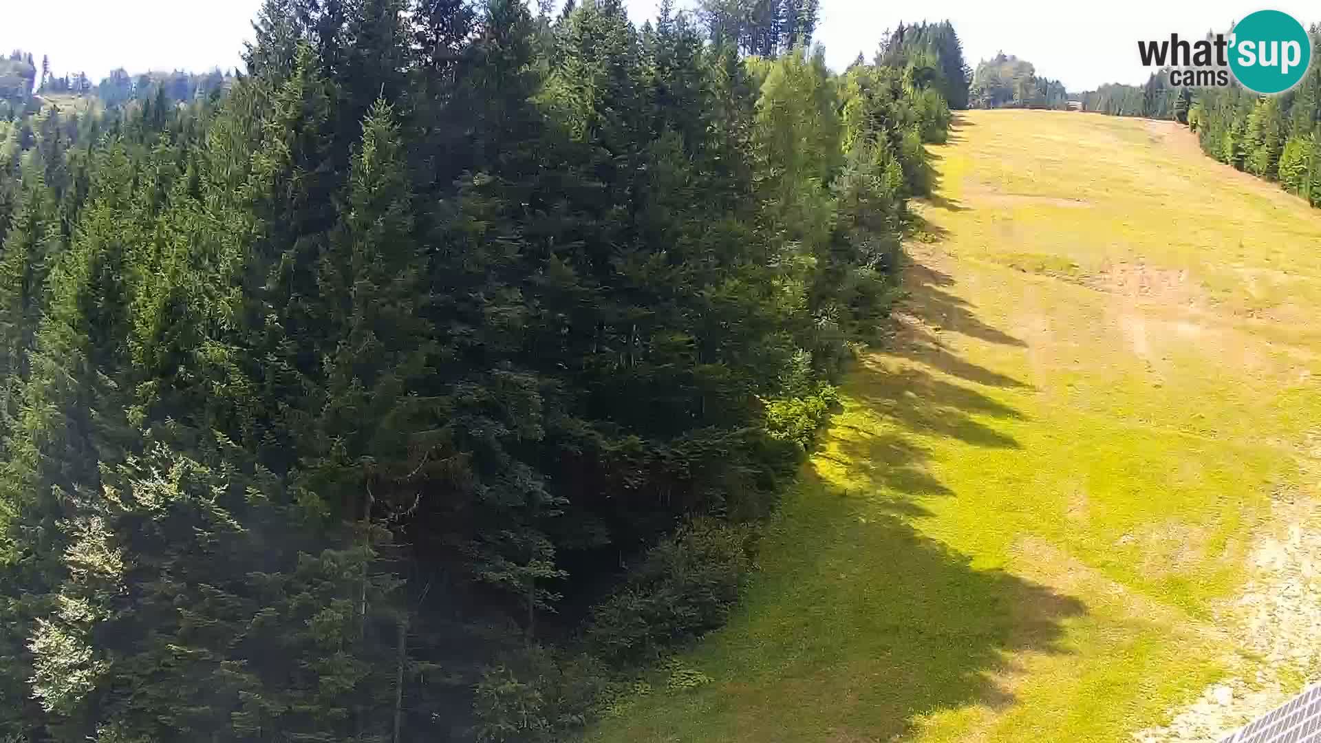 Webcam Rogla Wohnungen Dandi – Jurgovo