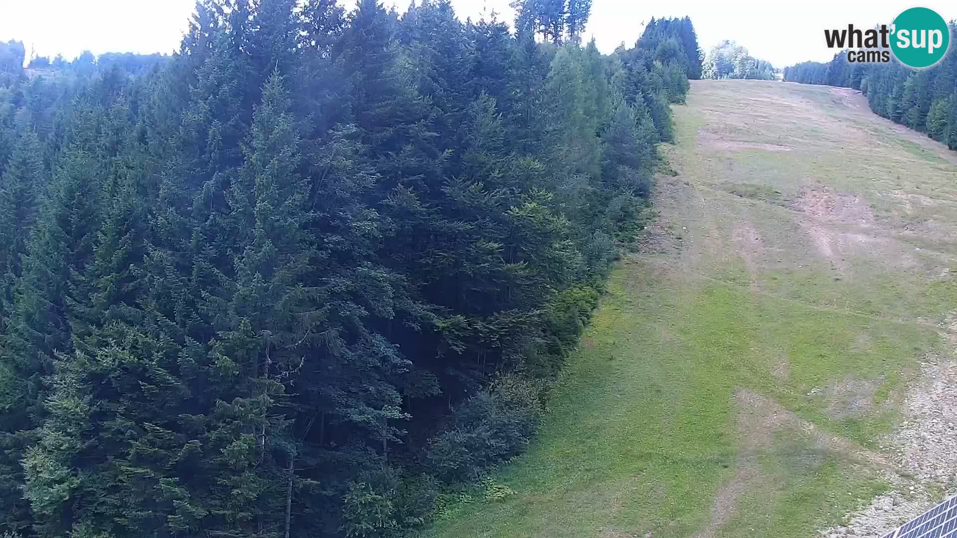 Web kamera Rogla apartmani Dandi – Jurgovo