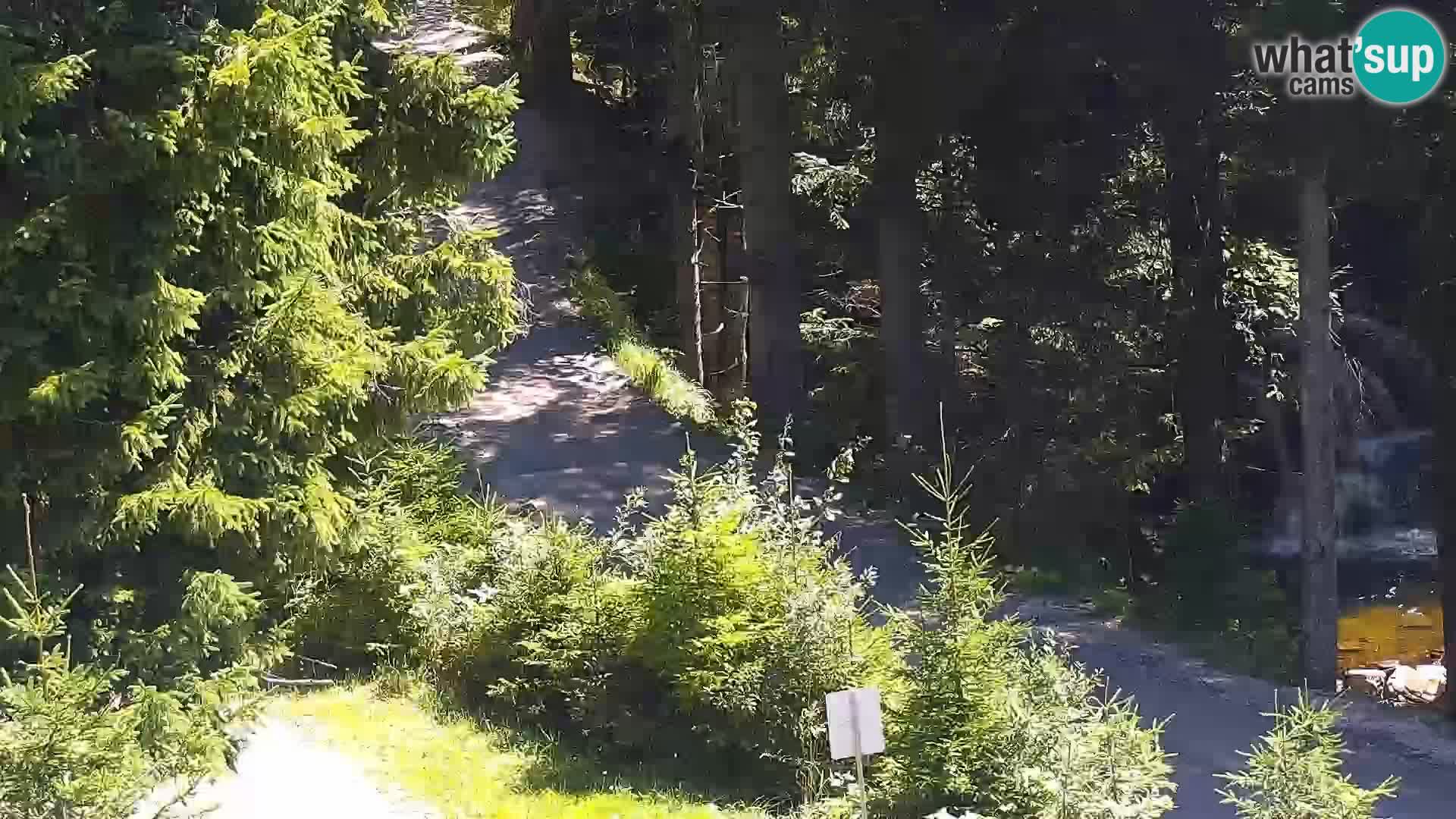 Live webcam Rogla appartamenti Dandi – Jurgovo