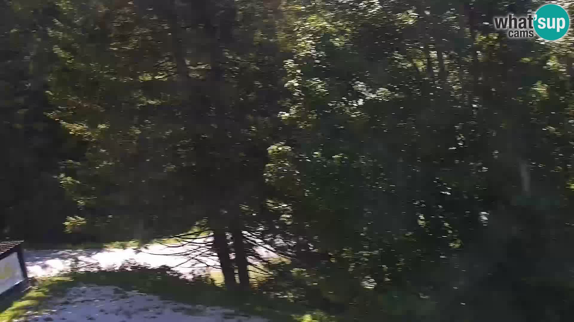 Webcam Rogla Wohnungen Dandi – Jurgovo