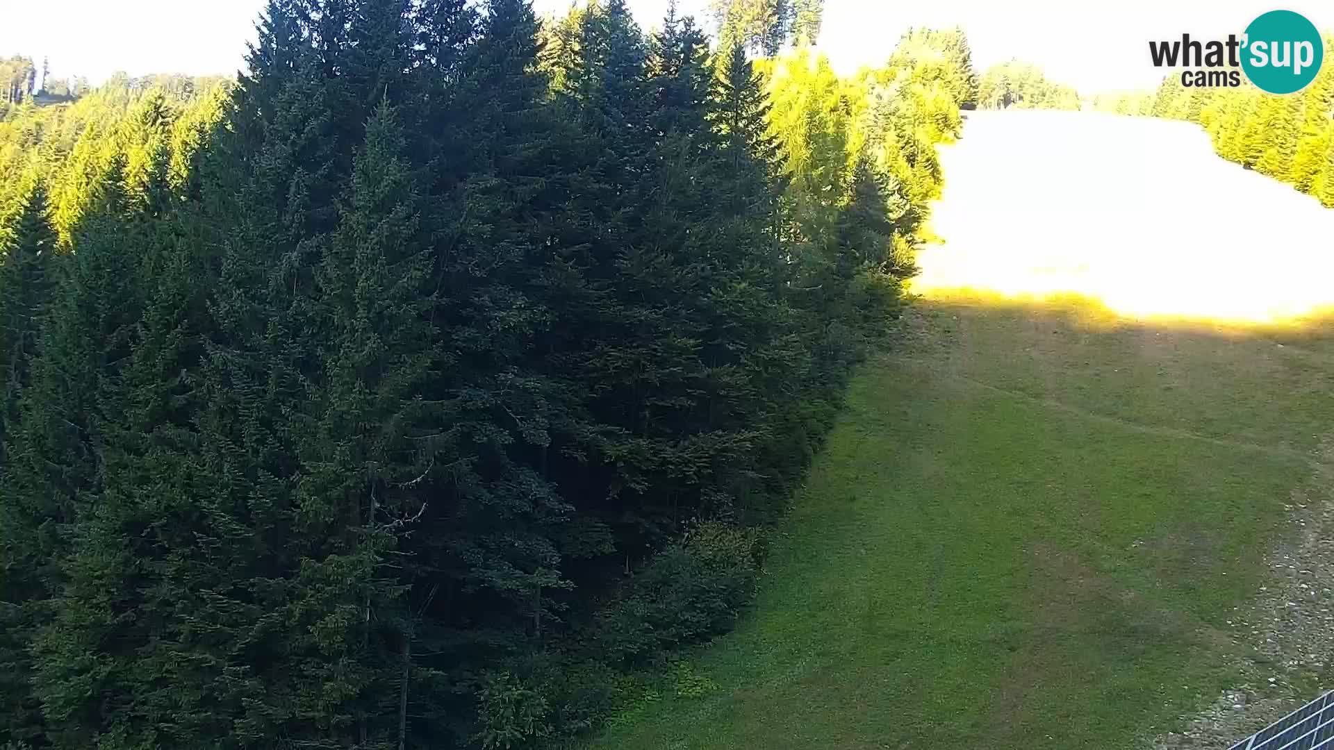 Spletna kamera Rogla apartmaji Dandi – Jurgovo