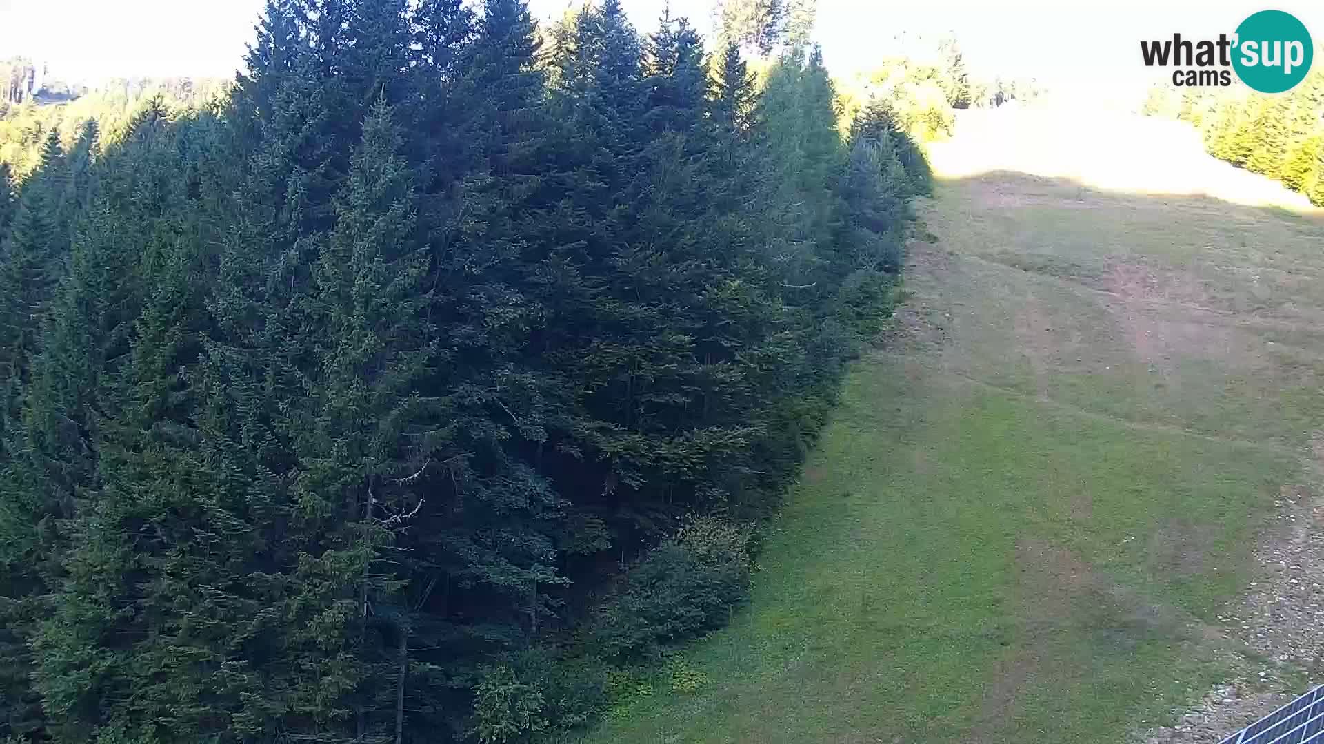 Spletna kamera Rogla apartmaji Dandi – Jurgovo
