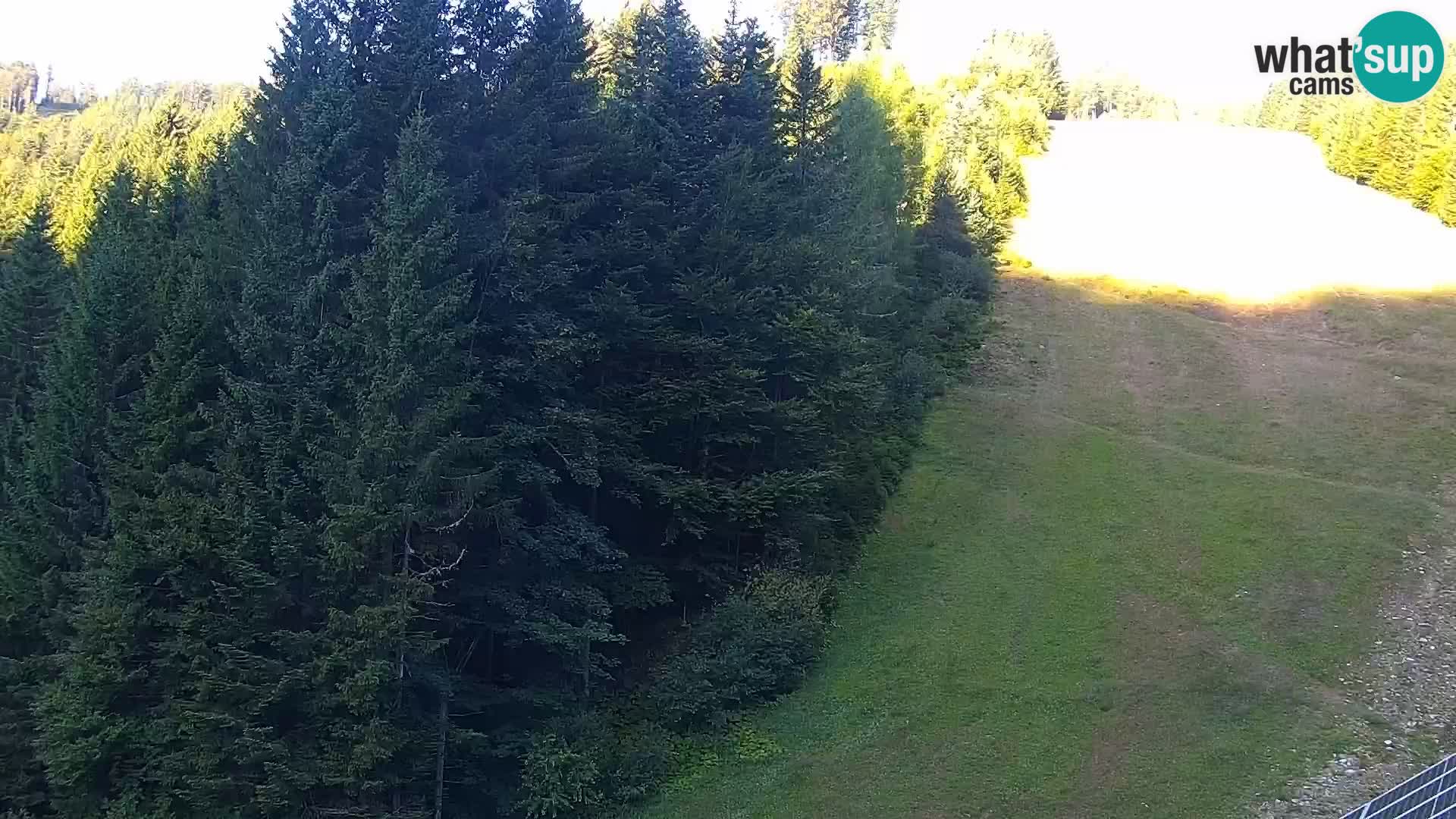 Spletna kamera Rogla apartmaji Dandi – Jurgovo