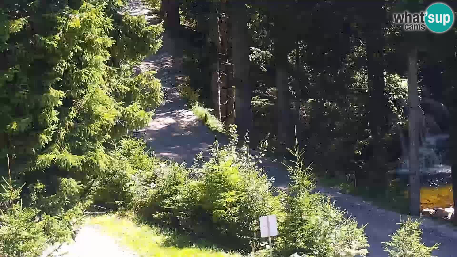 Webcam Rogla Wohnungen Dandi – Jurgovo