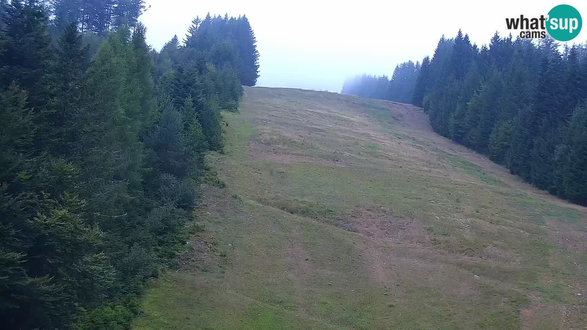 Spletna kamera Rogla apartmaji Dandi – Jurgovo