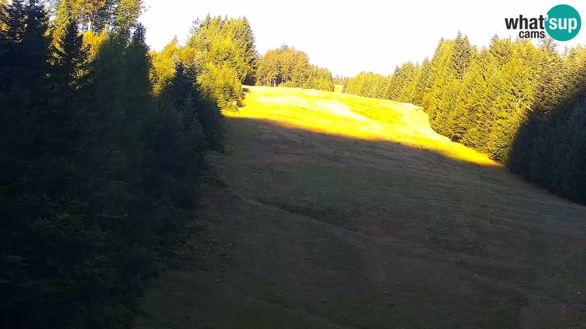 Spletna kamera Rogla apartmaji Dandi – Jurgovo