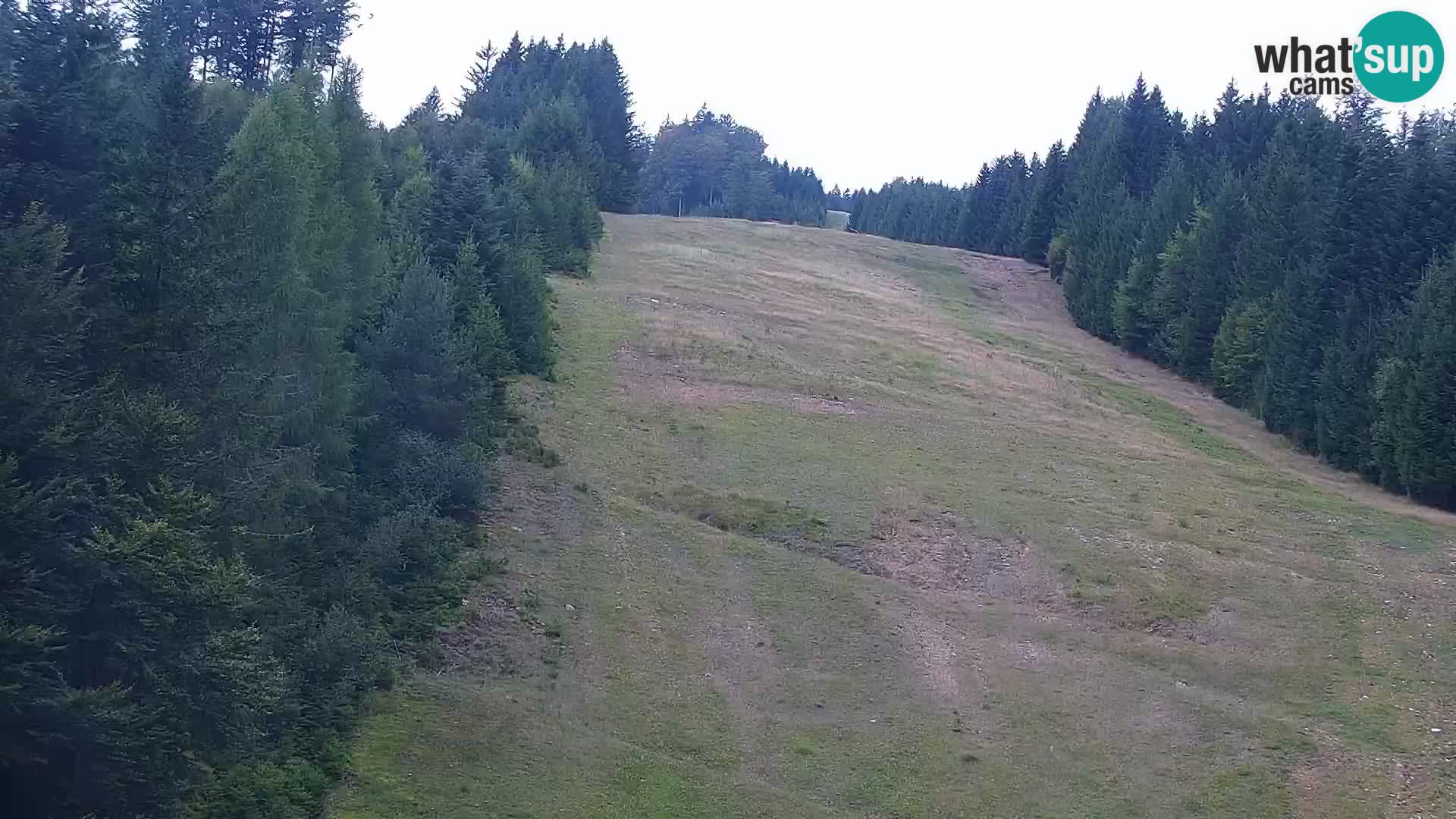 Webcam Rogla Wohnungen Dandi – Jurgovo