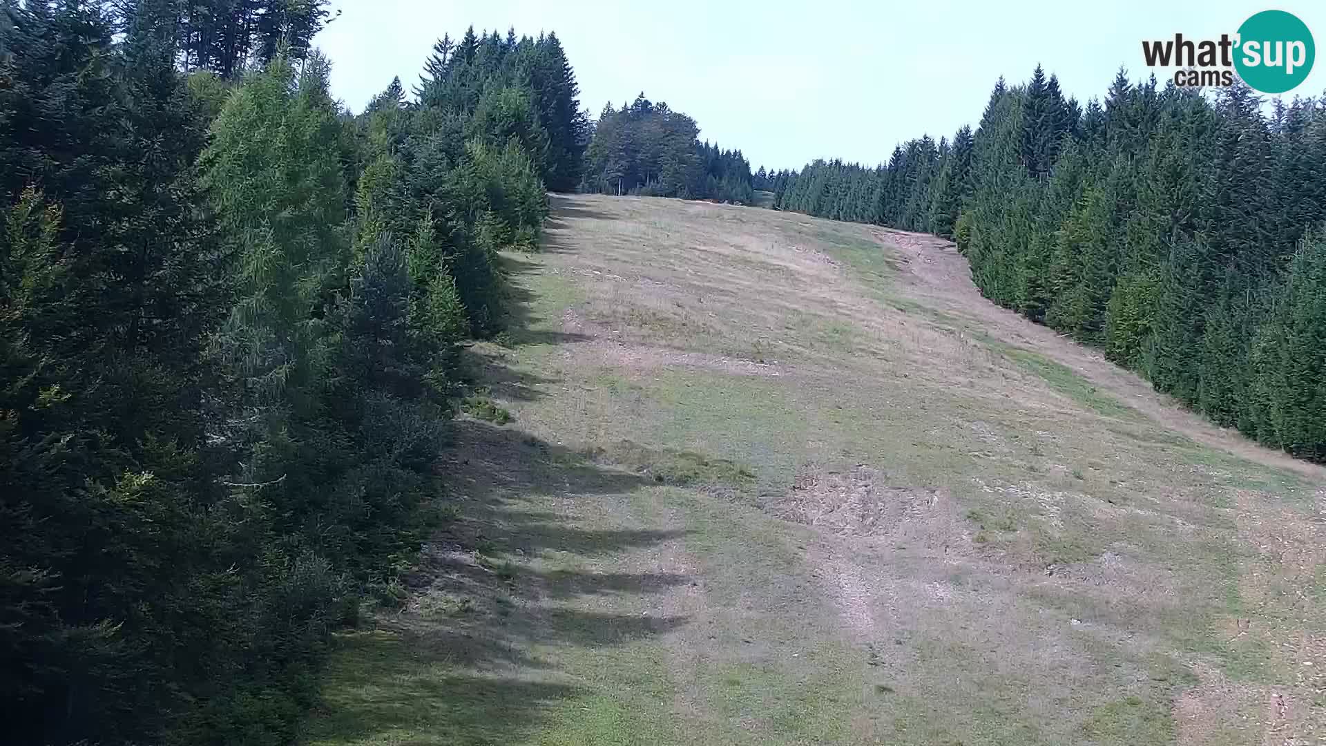 Spletna kamera Rogla apartmaji Dandi – Jurgovo