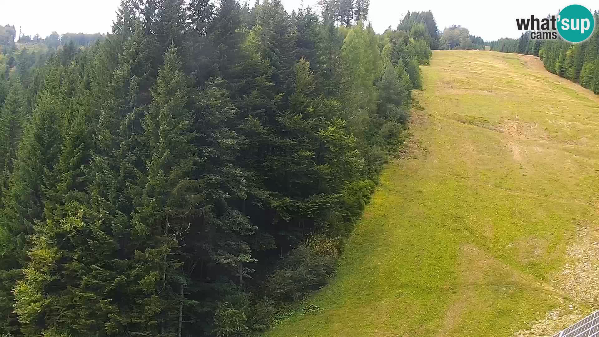 Spletna kamera Rogla apartmaji Dandi – Jurgovo