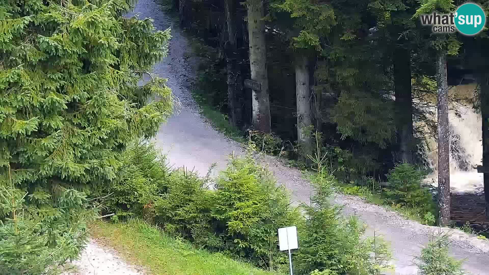 Webcam Rogla Wohnungen Dandi – Jurgovo