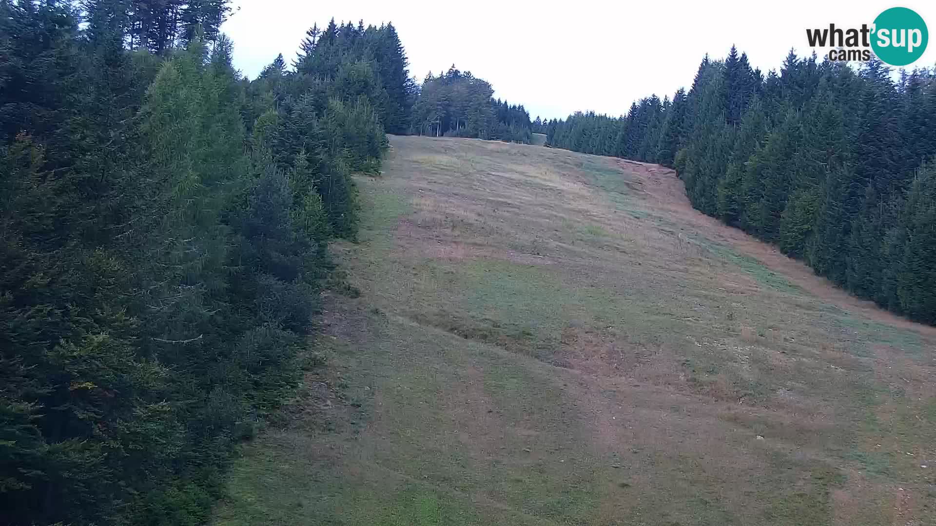 Live Rogla appartements Dandi – Jurgovo