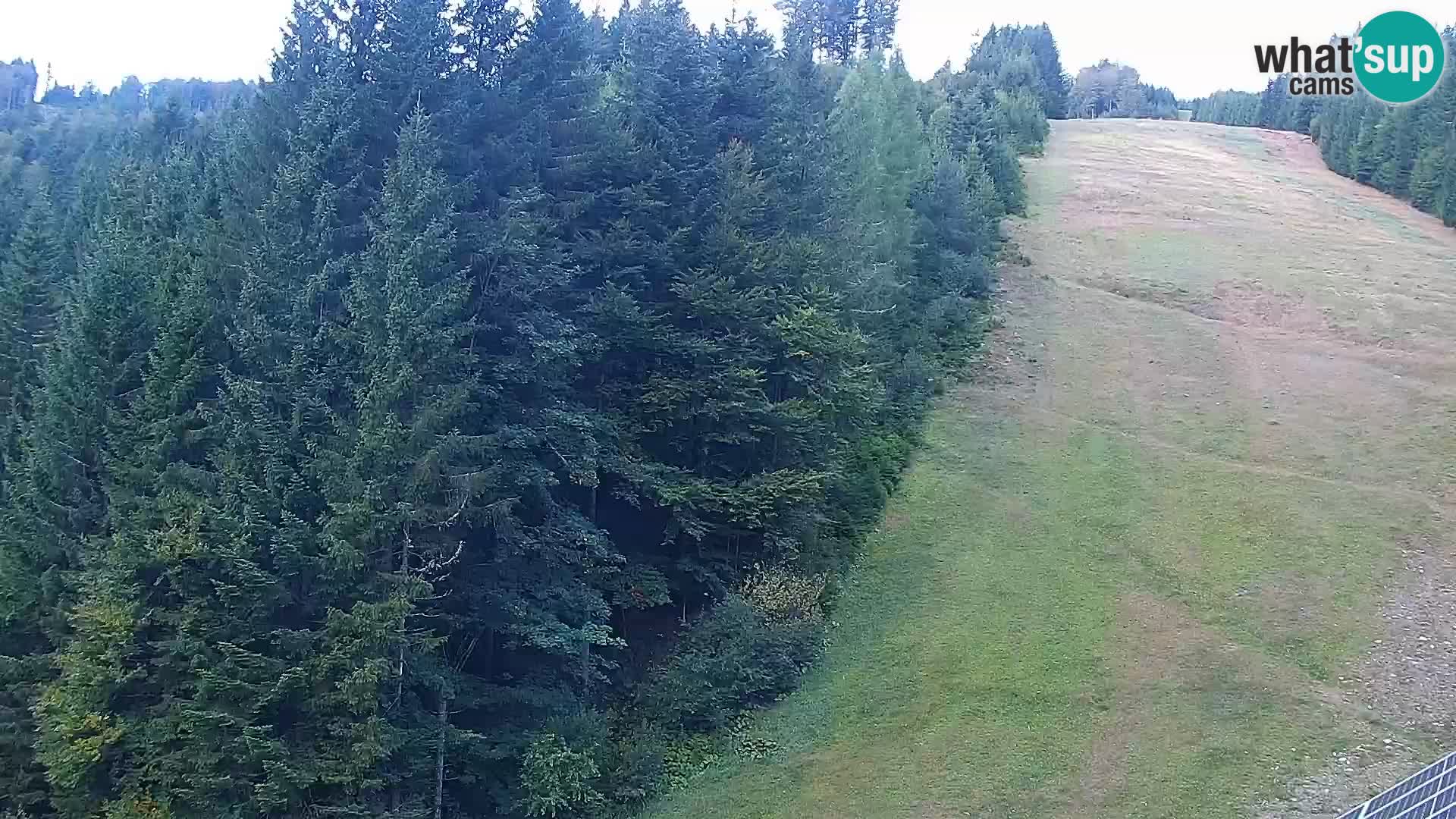 Spletna kamera Rogla apartmaji Dandi – Jurgovo