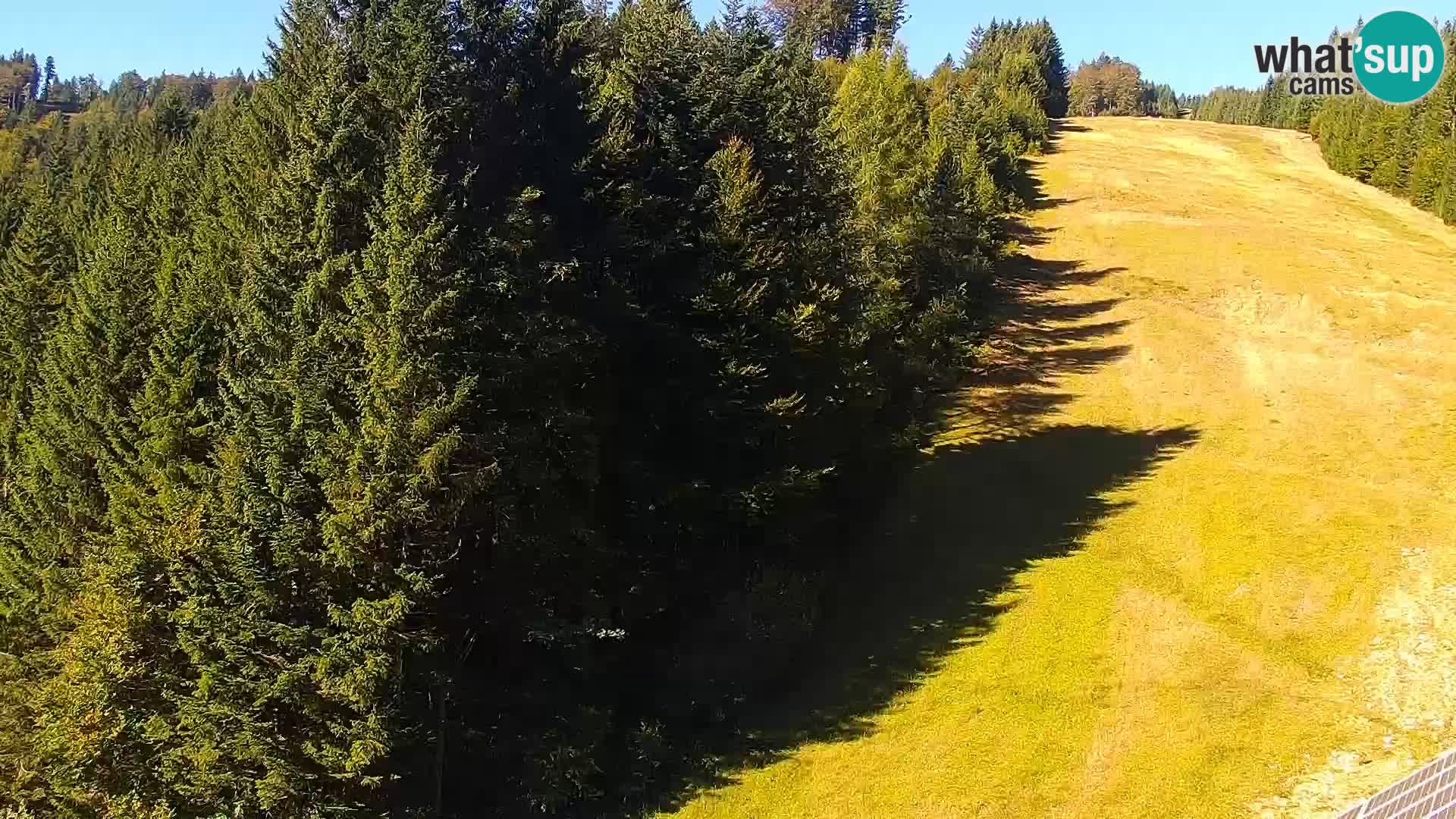 Spletna kamera Rogla apartmaji Dandi – Jurgovo