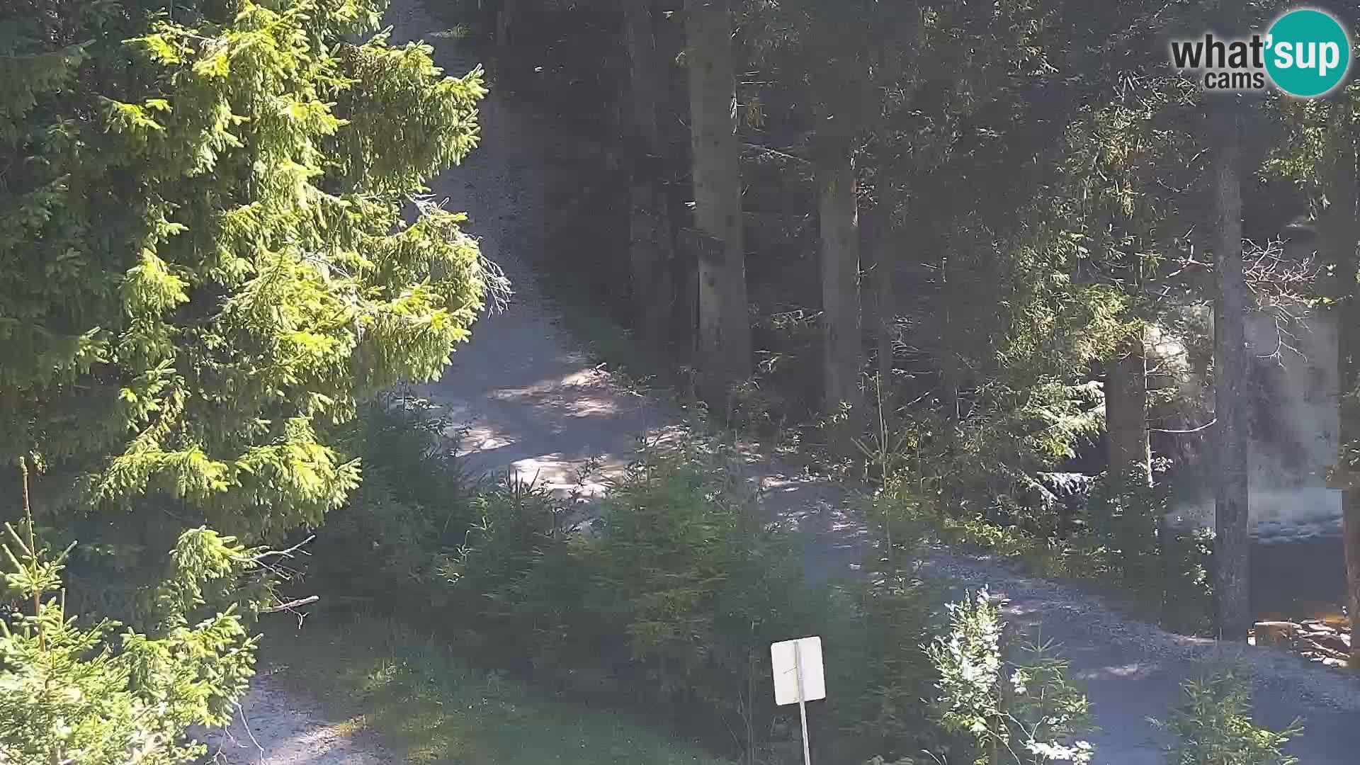 Live webcam Rogla appartamenti Dandi – Jurgovo